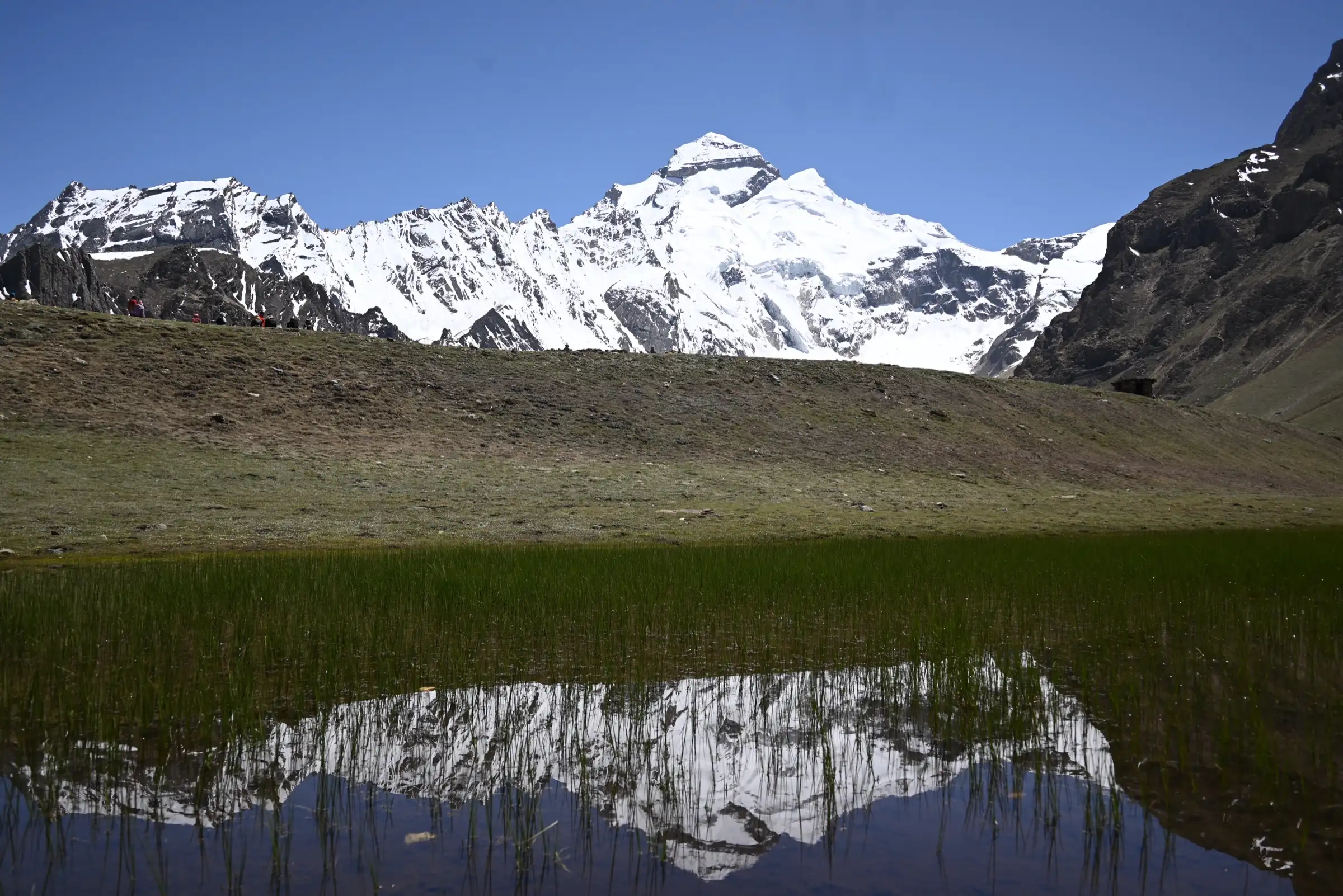 Snow-covered Adi Kailash peak under a clear blue sky, reflected in a reedy high-altitude pool