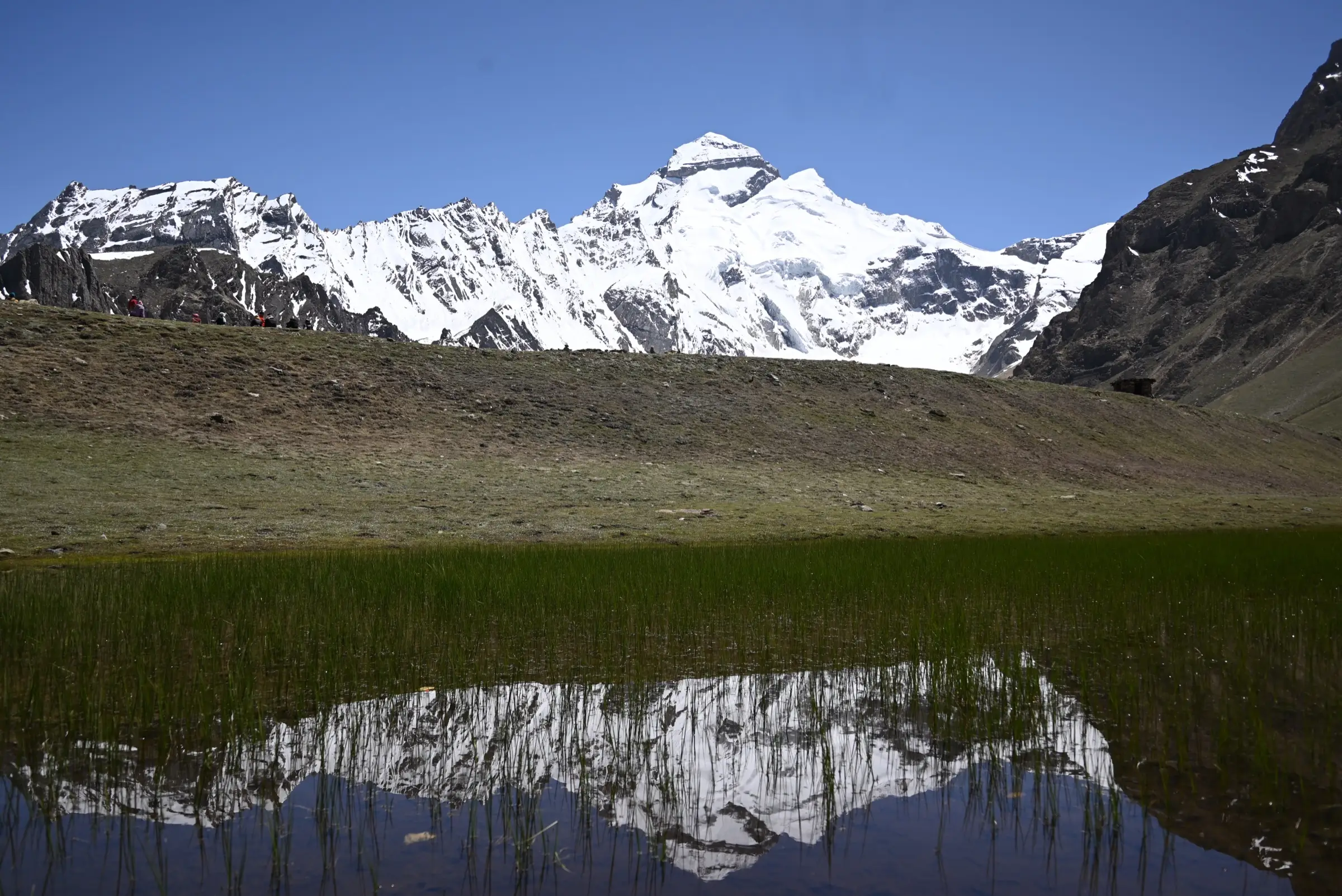 Snow-covered Adi Kailash peak under a clear blue sky, reflected in a reedy high-altitude pool
