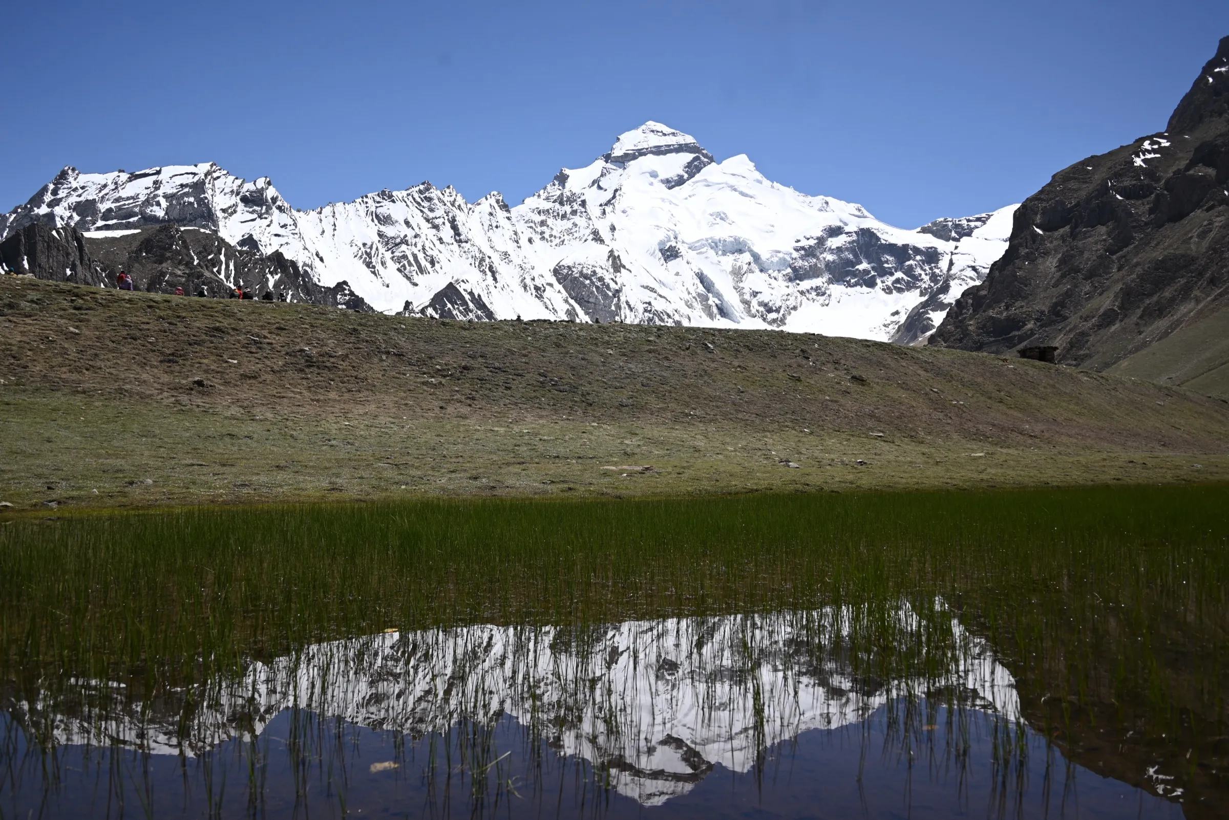 Snow-covered Adi Kailash peak under a clear blue sky, reflected in a reedy high-altitude pool