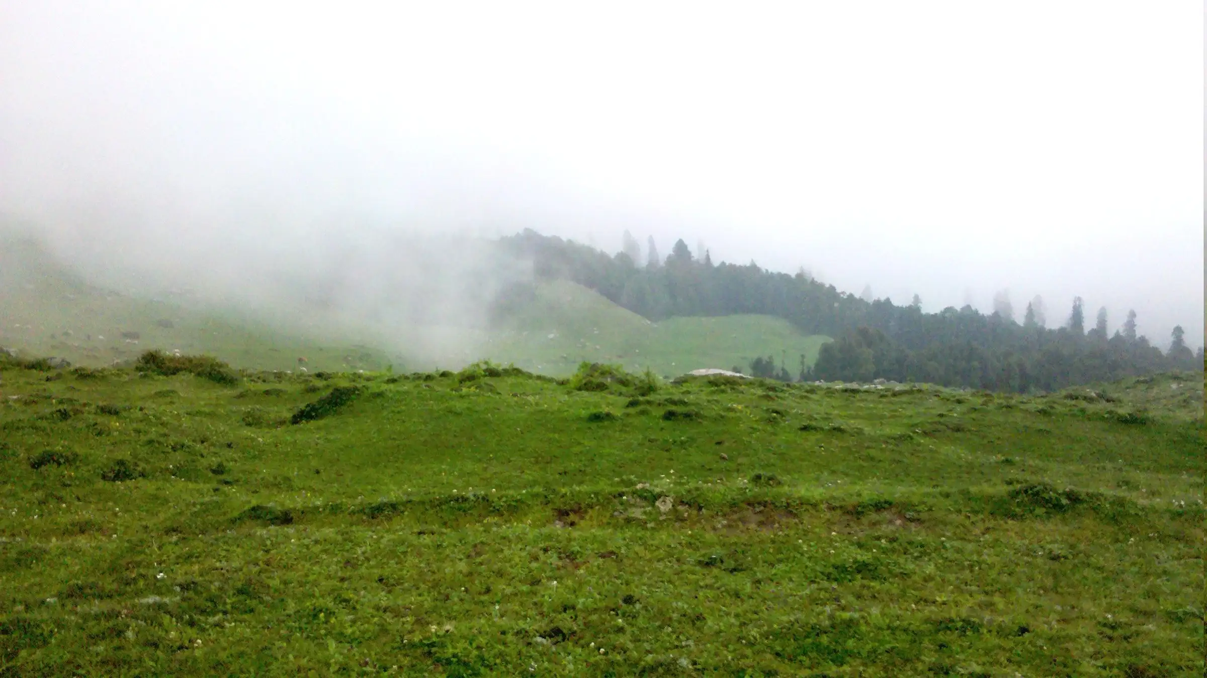 Green meadow at Raghupur Garh with fog drifting over the forested ridge behind