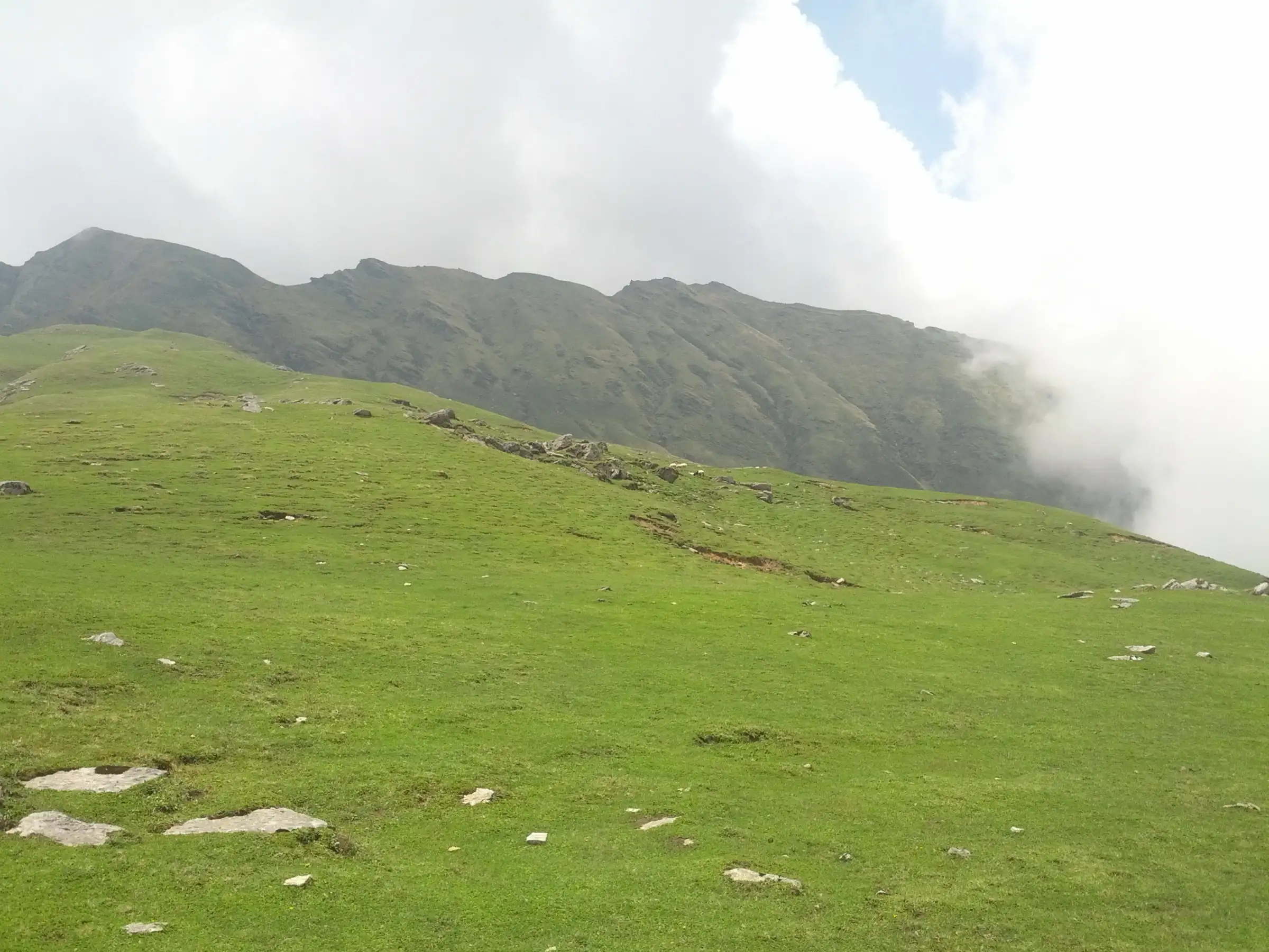 Green alpine meadow at about 3,500 m at Khaliya with a rocky ridge disappearing into cloud
