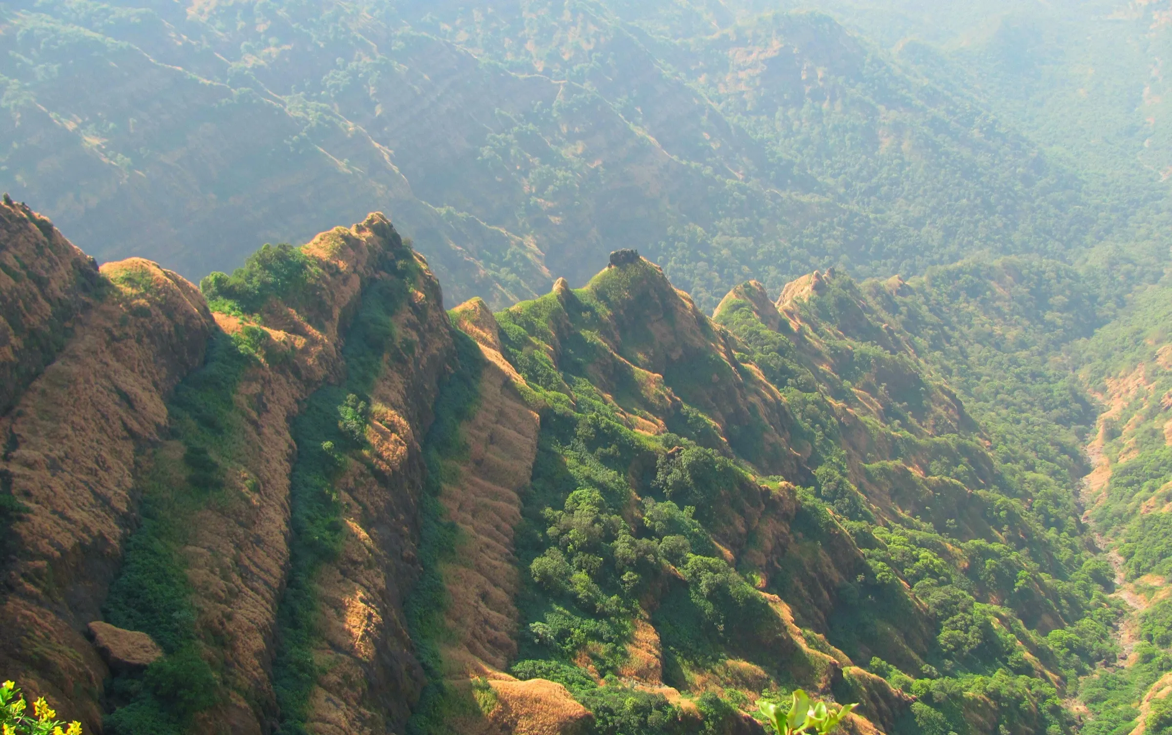 Sunlit eroded ridges and deep forested gorges seen from Arthur's Seat, Mahabaleshwar, where the descent to Chandragad begins