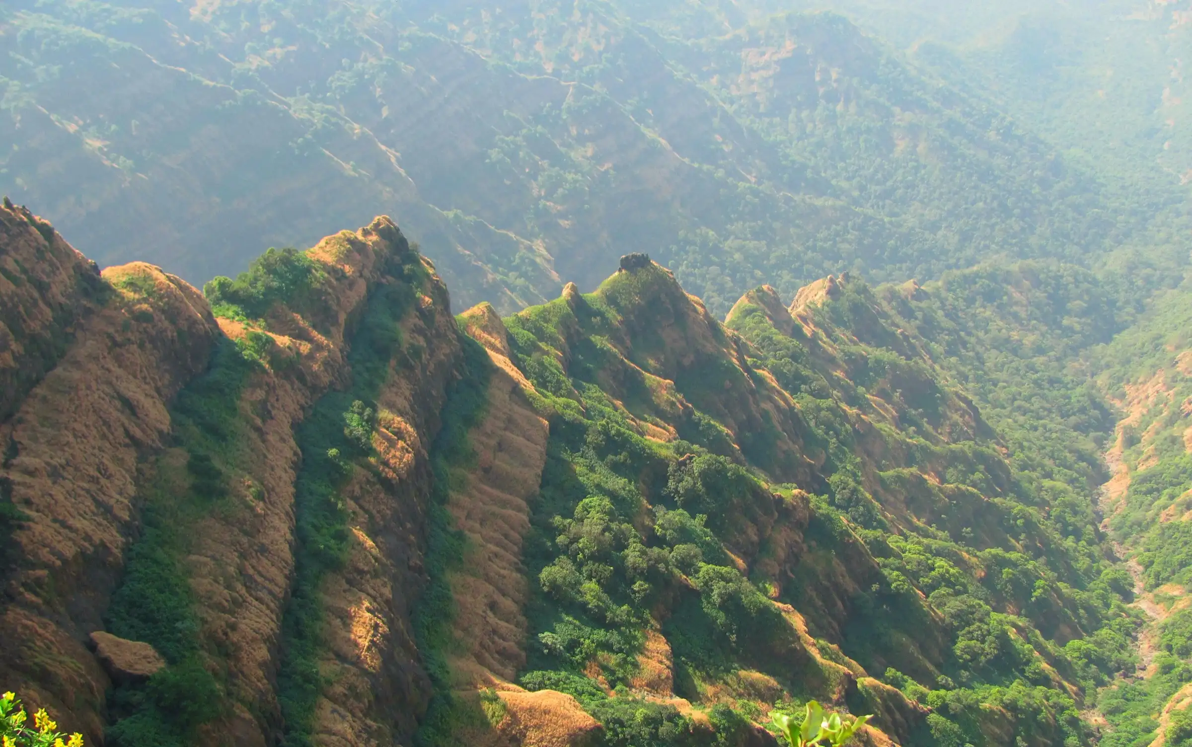 Sunlit eroded ridges and deep forested gorges seen from Arthur's Seat, Mahabaleshwar, where the descent to Chandragad begins