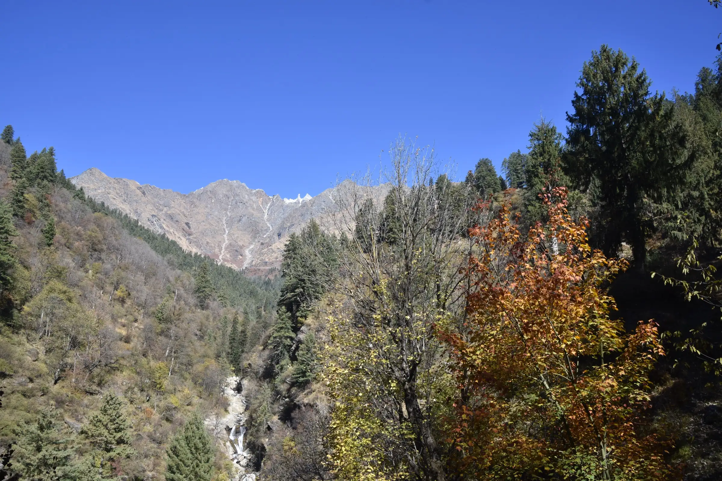 Autumn-coloured trees and a stream beside the Tosh to Kutla trail