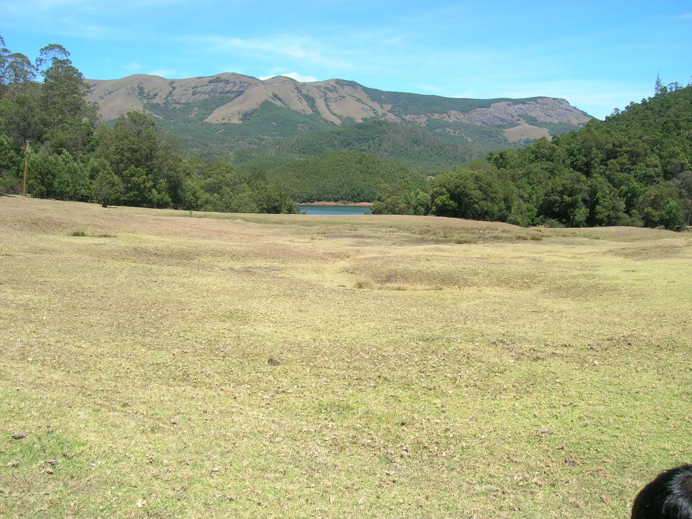 Open grassland at Avalanche with shola-covered hills and a glimpse of the reservoir, in the area where the Kolaribetta trek starts (not the trail itself)