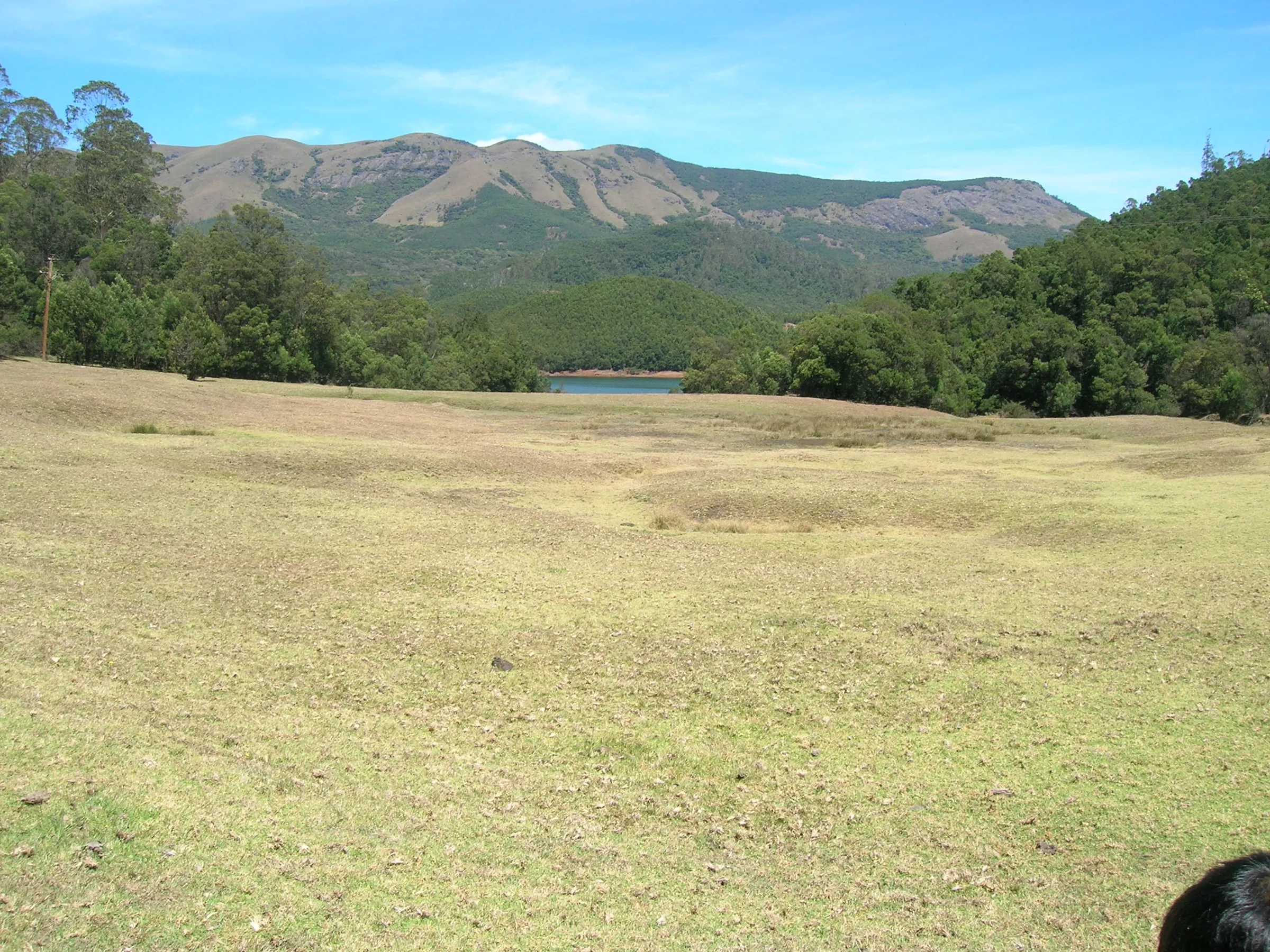 Open grassland at Avalanche with shola-covered hills and a glimpse of the reservoir, in the area where the Kolaribetta trek starts (not the trail itself)