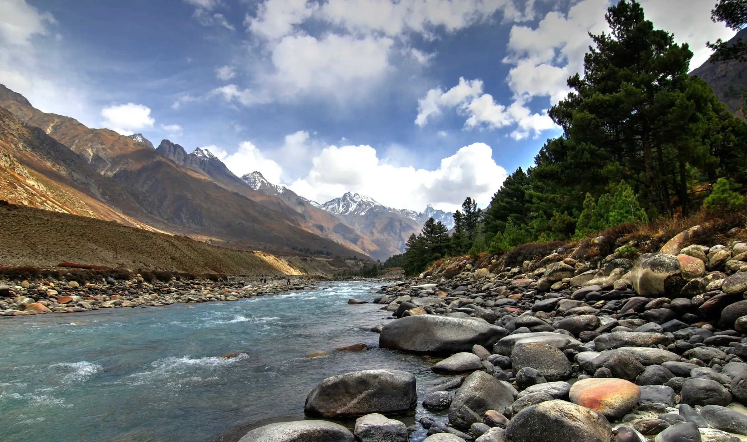The Baspa river running over grey boulders beside pine trees towards snowy peaks at Chitkul, where the trek begins