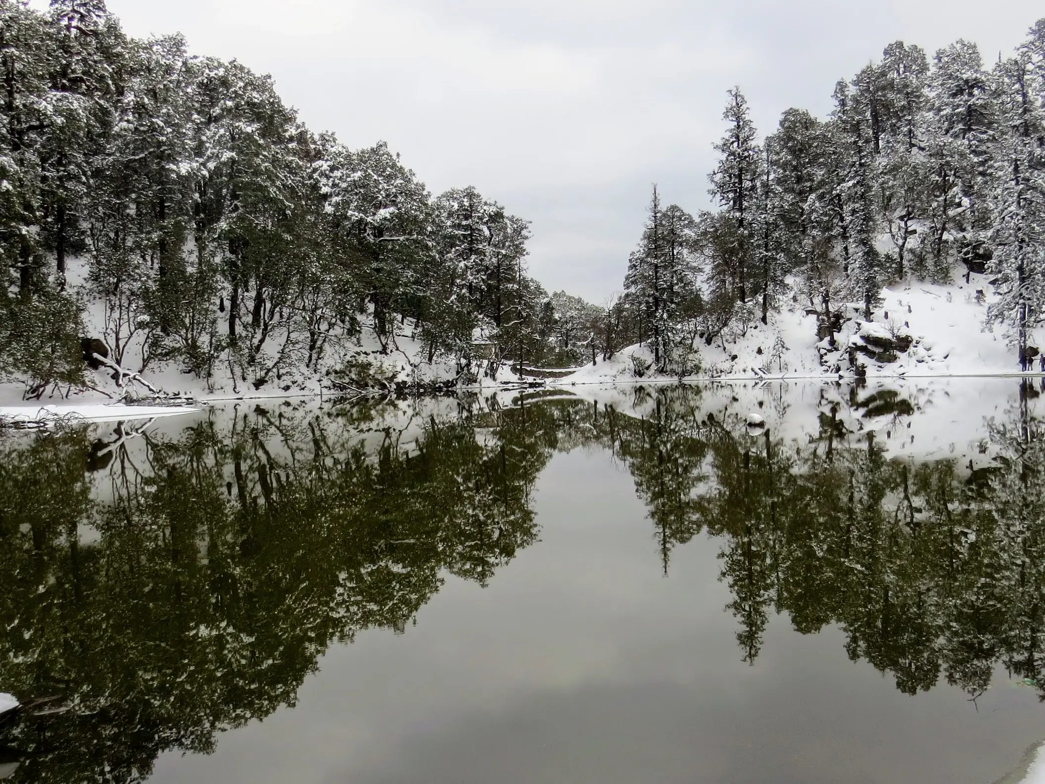 Snow-dusted oak and conifer forest reflected in the still water of Bekaltal lake