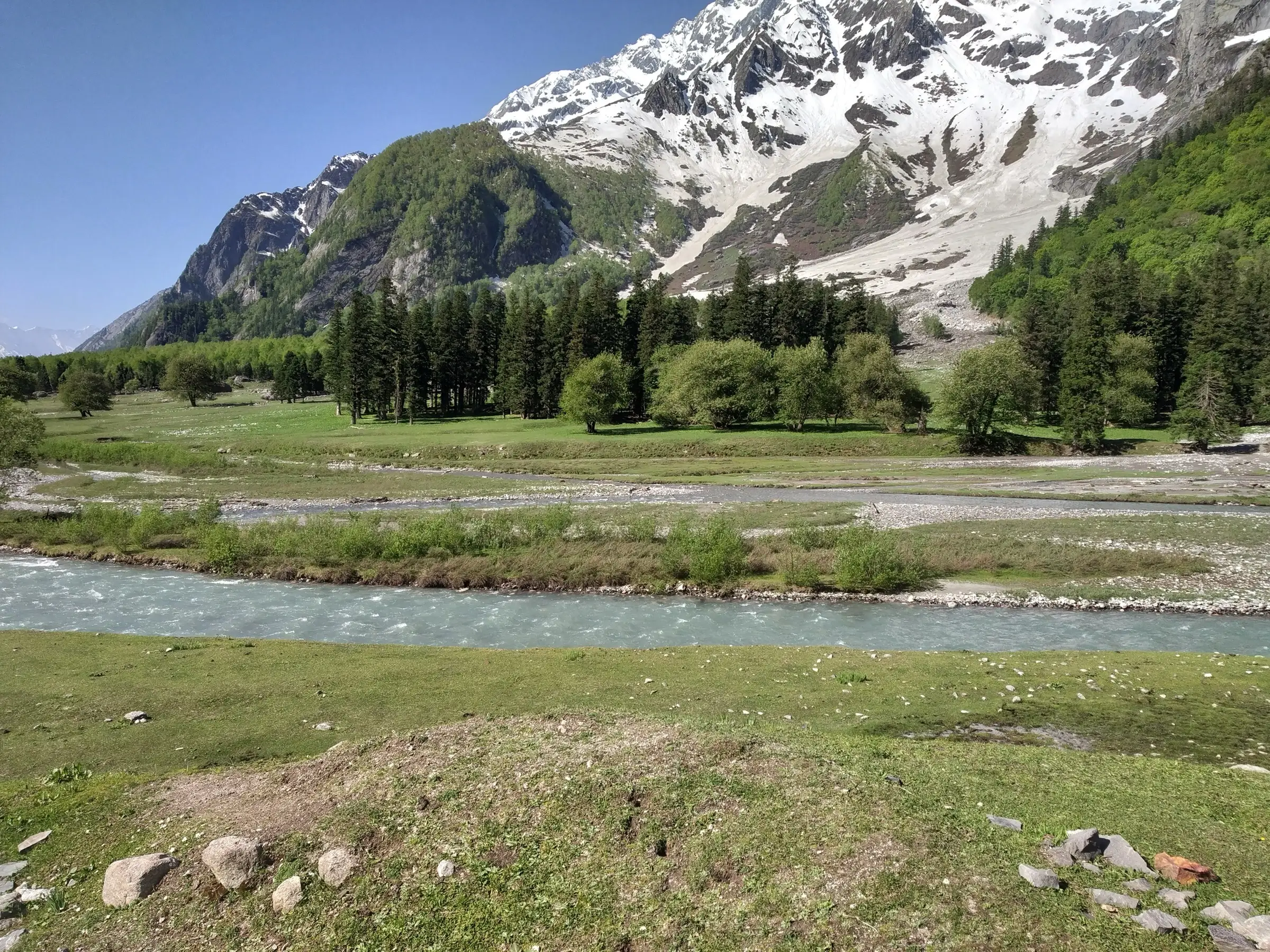 Turquoise Bhaba river flowing past green meadows and conifer forest below snowy peaks in the Bhaba valley