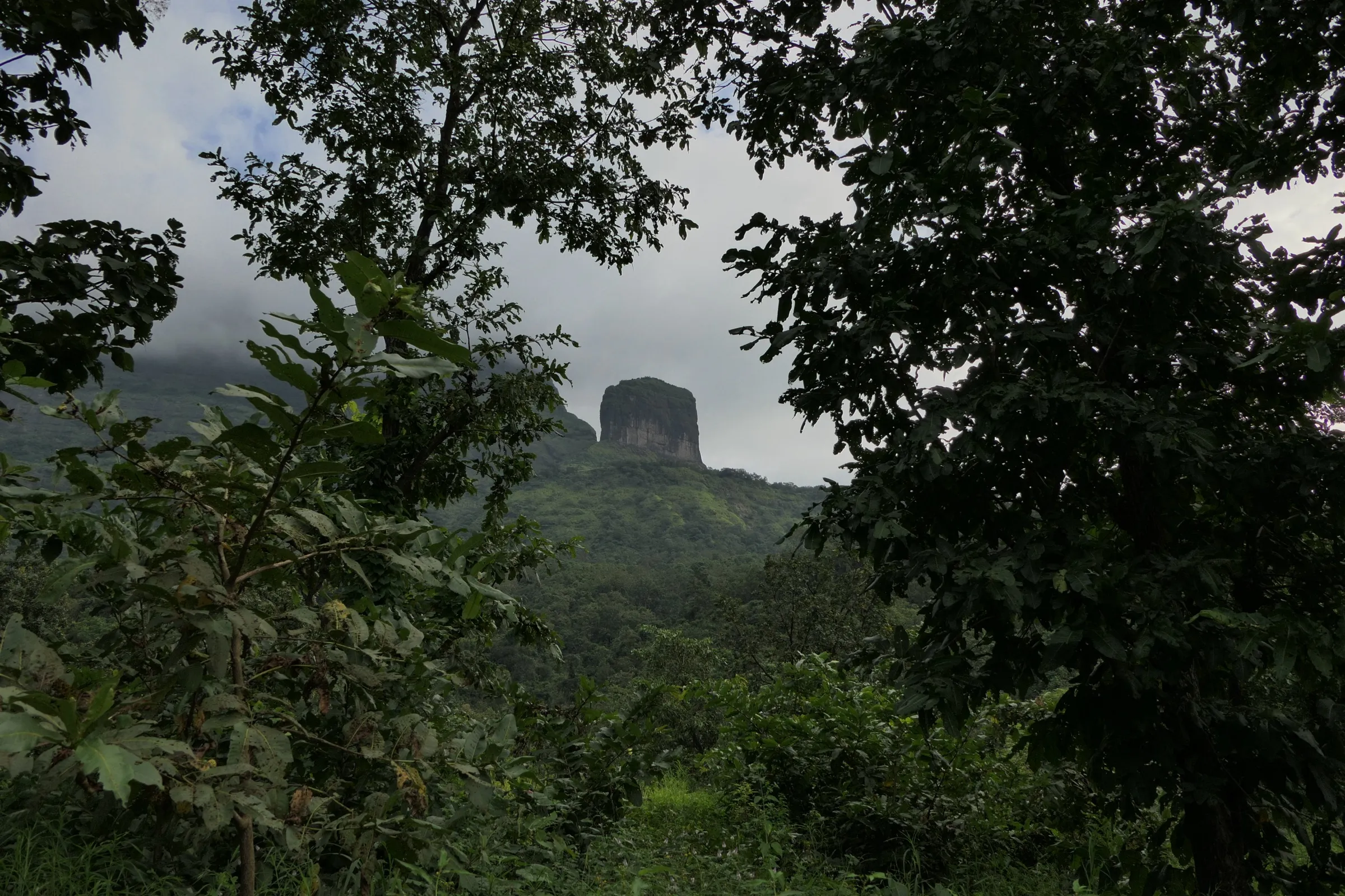 The flat-topped rock block of Bhairavgad rising above green forested slopes under monsoon clouds, framed by trees