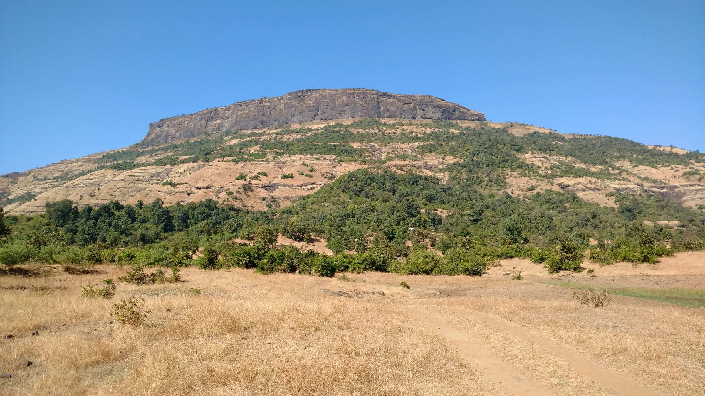 Flat-topped rock scarp of Bhaskargad rising above scrub forest and dry grassland under a blue sky