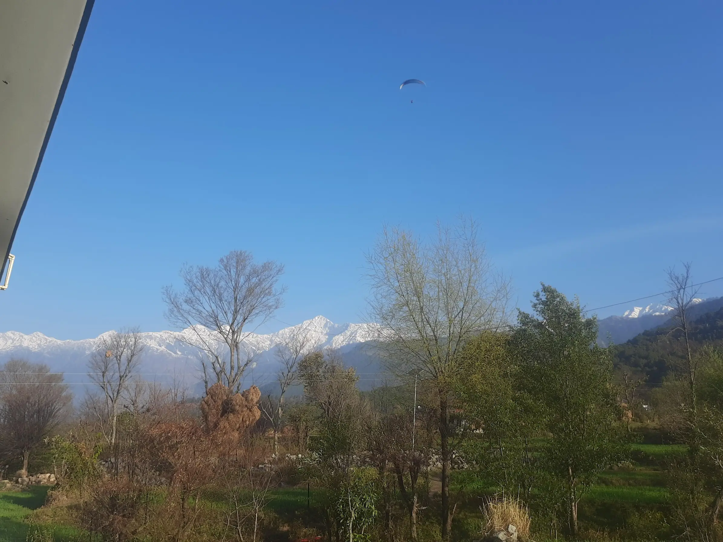 Snowy Dhauladhar range seen from Bir with a paraglider overhead, near the end of the trek at Billing (not the trail itself)