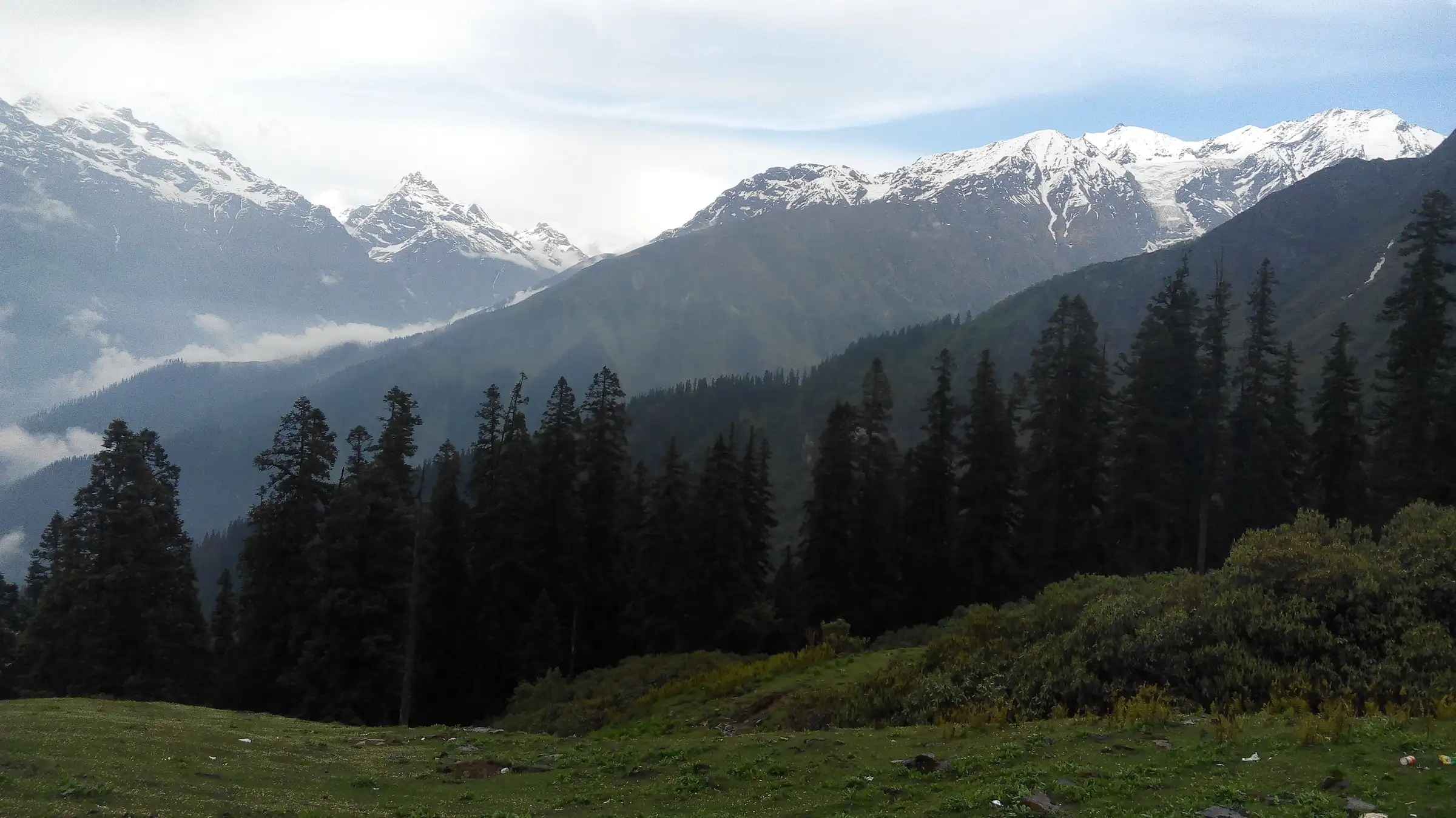Meadow at Biskeri Thach camp ringed by tall conifers, with snow peaks of the Parvati valley behind