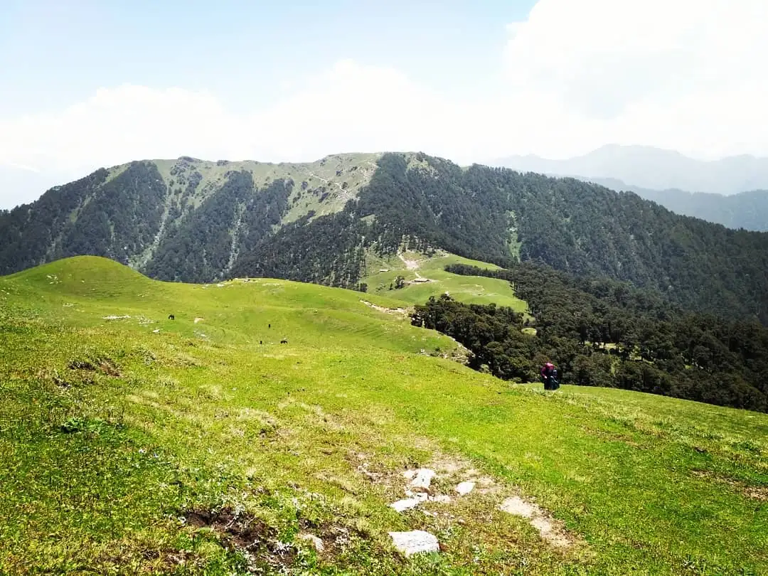 Green Panwali Kantha meadow with grazing animals and a trekker, below forested ridges and hazy peaks