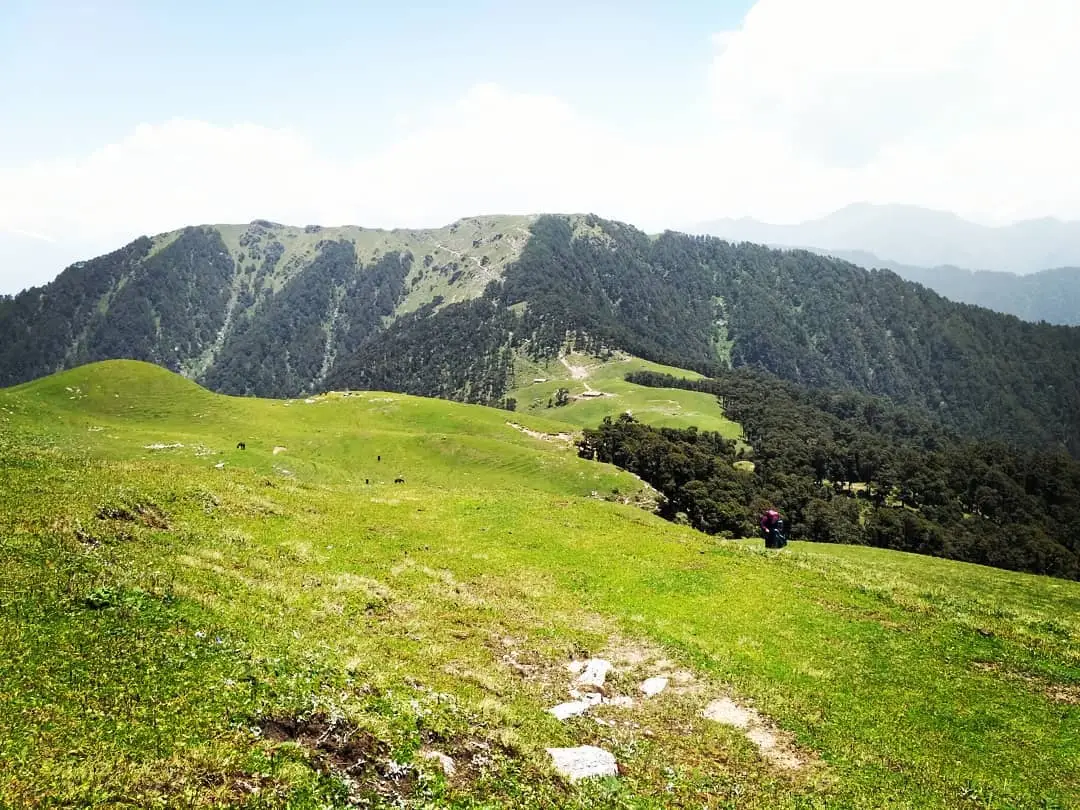 Green Panwali Kantha meadow with grazing animals and a trekker, below forested ridges and hazy peaks