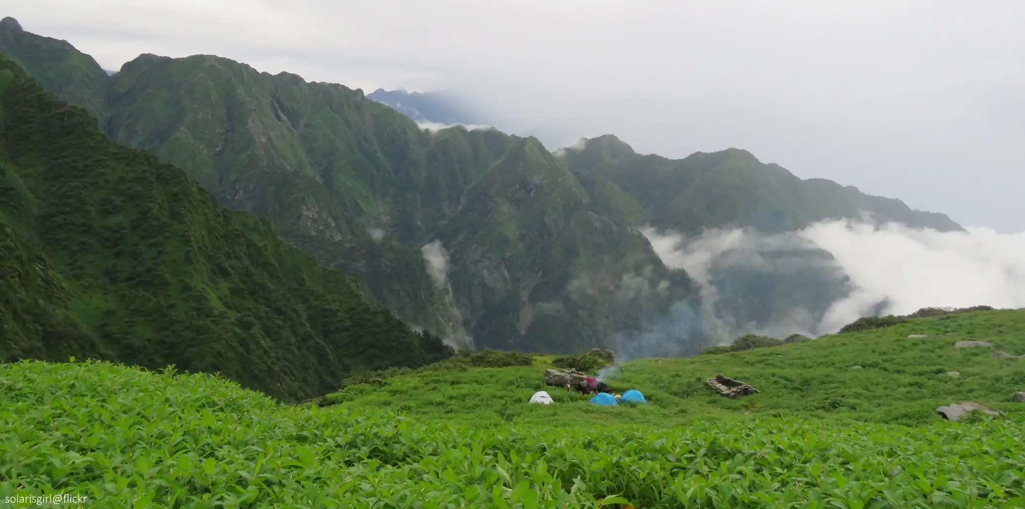 Three small tents on a green meadow of tall plants at Chenap Valley, with steep forested ridges and drifting cloud behind