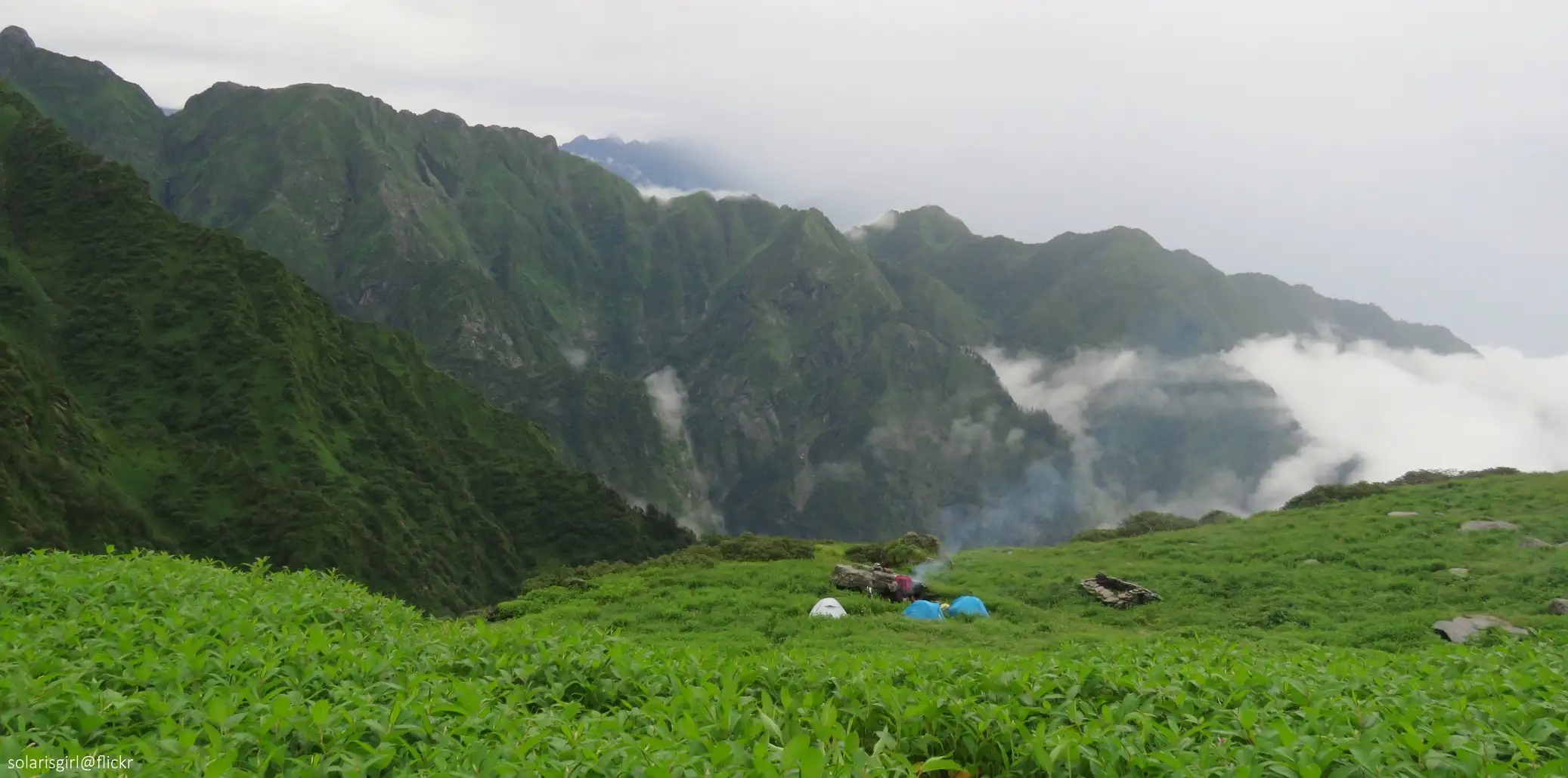 Three small tents on a green meadow of tall plants at Chenap Valley, with steep forested ridges and drifting cloud behind