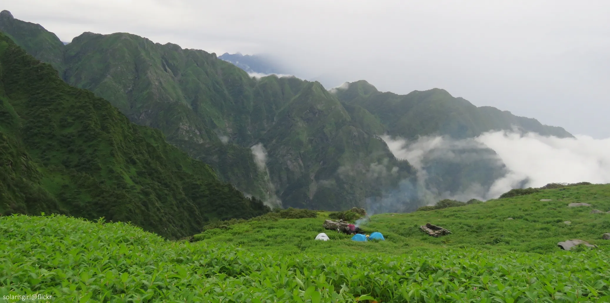 Three small tents on a green meadow of tall plants at Chenap Valley, with steep forested ridges and drifting cloud behind