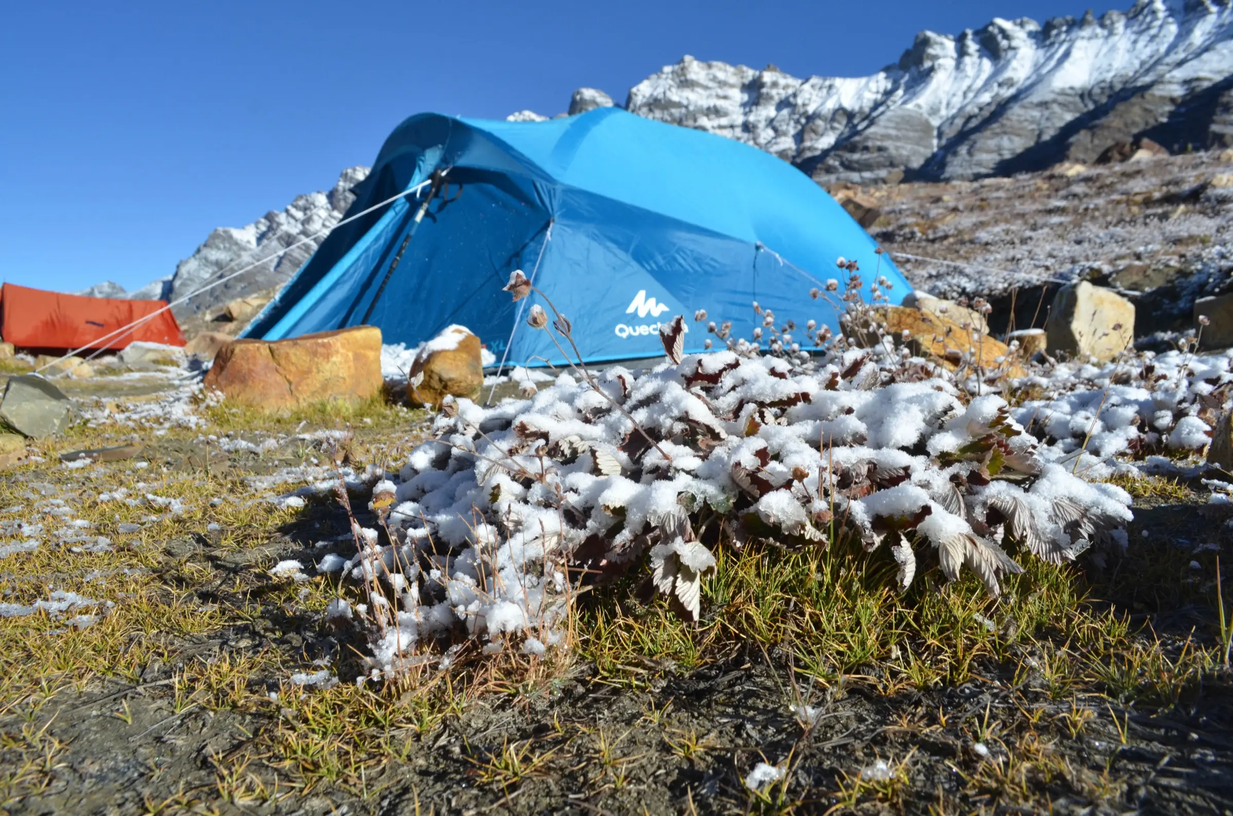 Blue tent at the Vasuki Tal campsite after fresh snowfall, with snow-dusted rock ridges under a clear sky