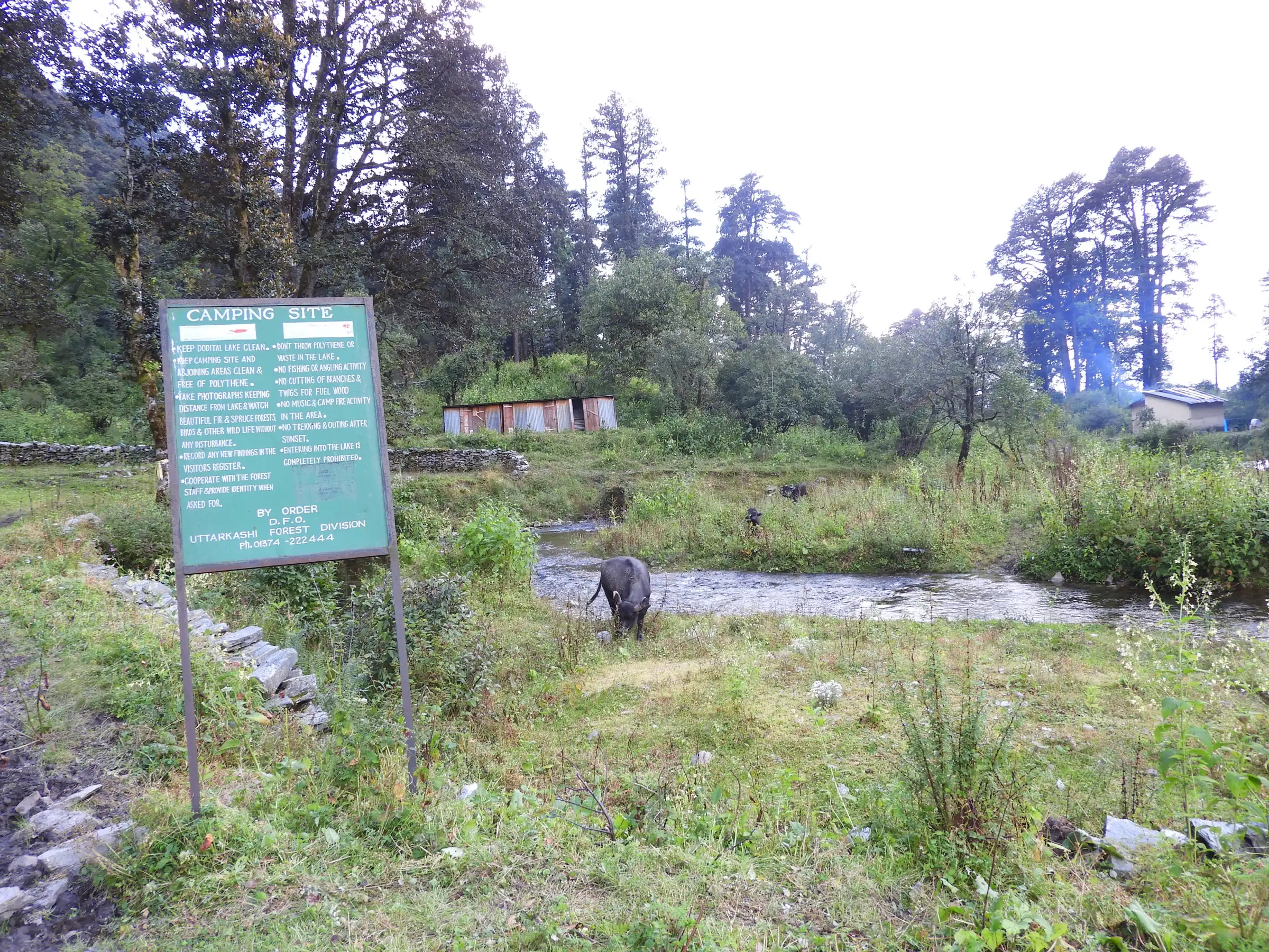 Uttarkashi Forest Division camping-site rules board beside a stream and forest huts at the Dodital campsite