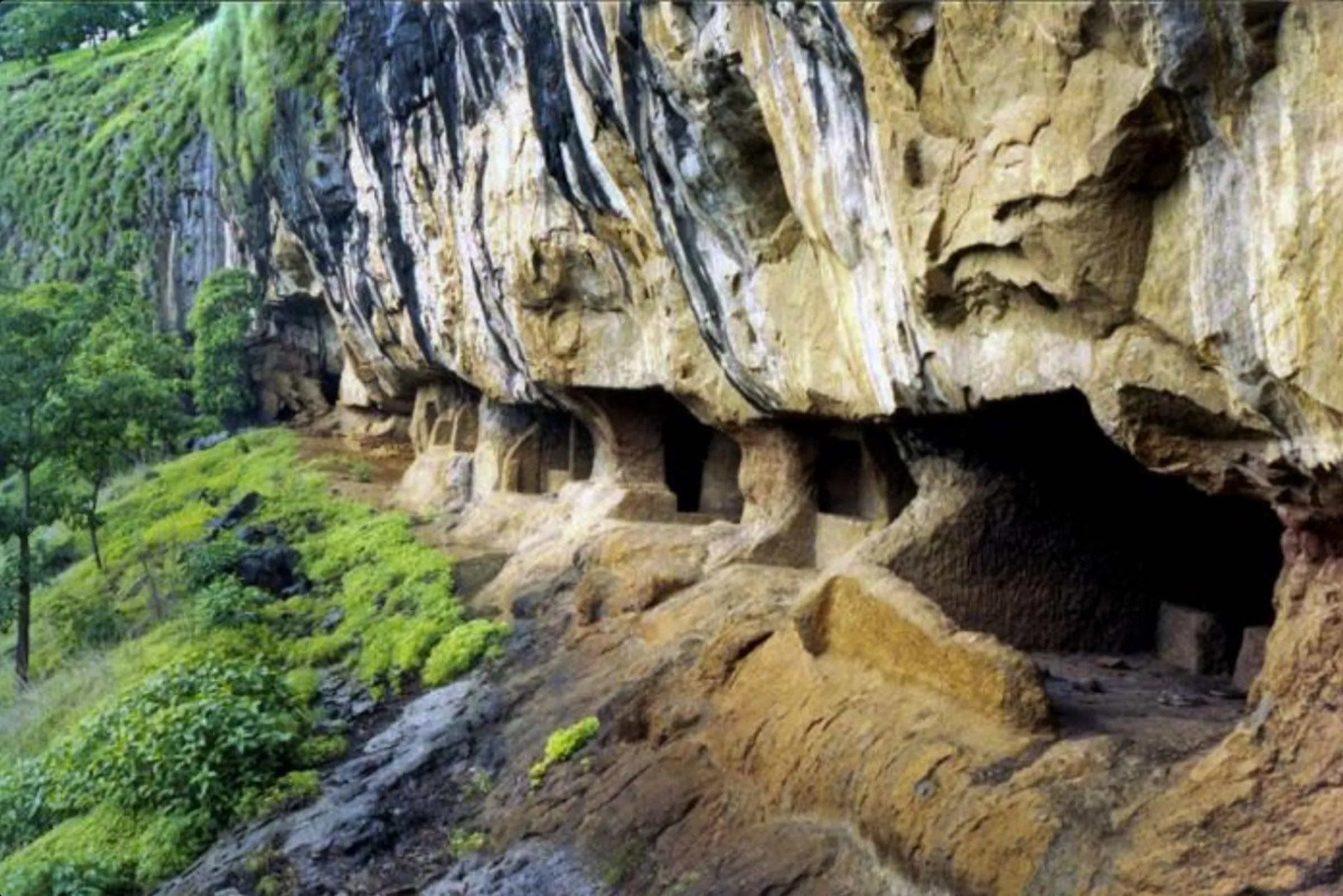 A row of Thanale rock-cut cave openings beneath a tall overhanging cliff, with green monsoon slopes and trees beside the cave ledge