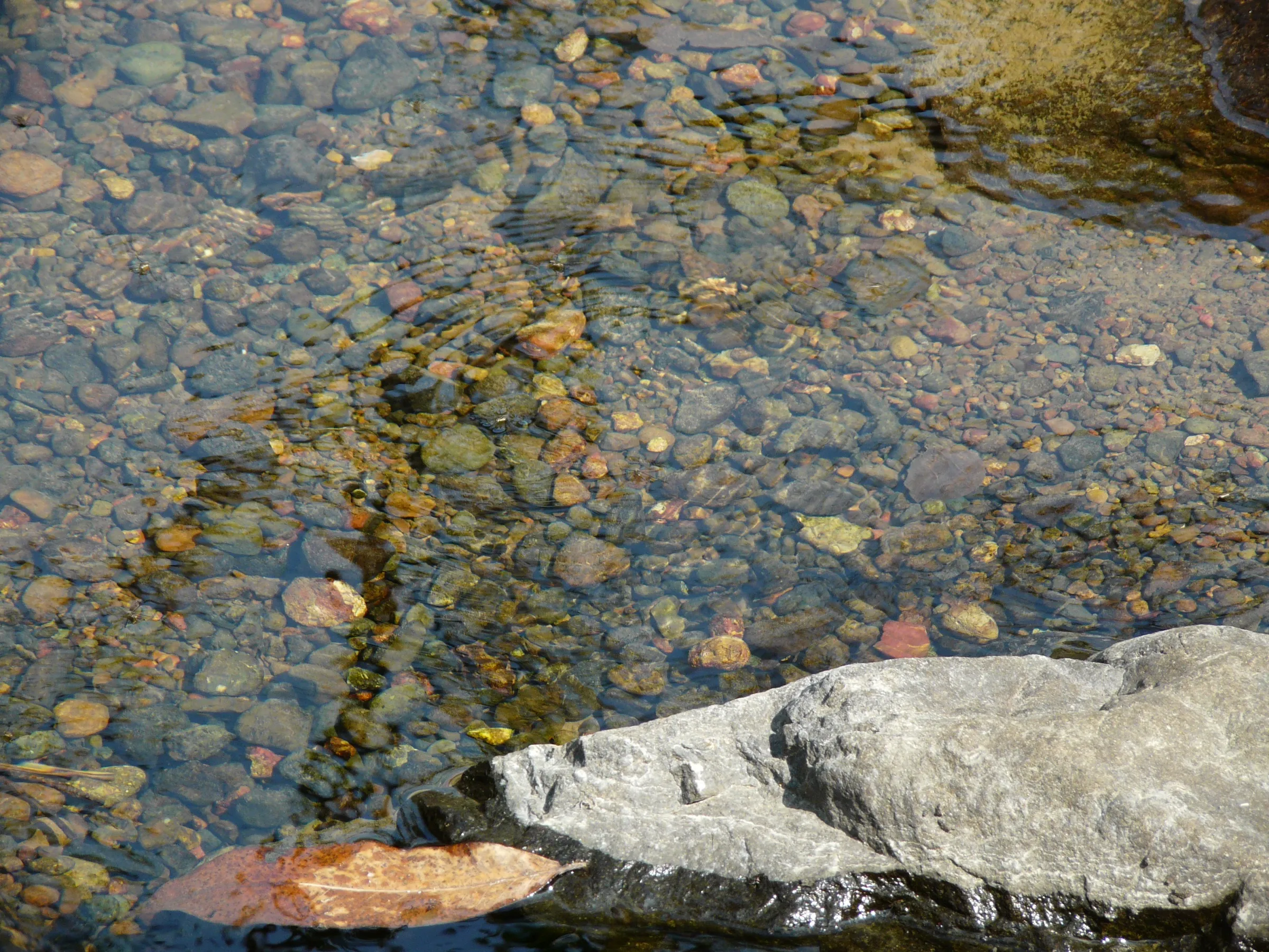 Clear stream water over coloured pebbles beside a grey boulder at Chinchoti waterfall