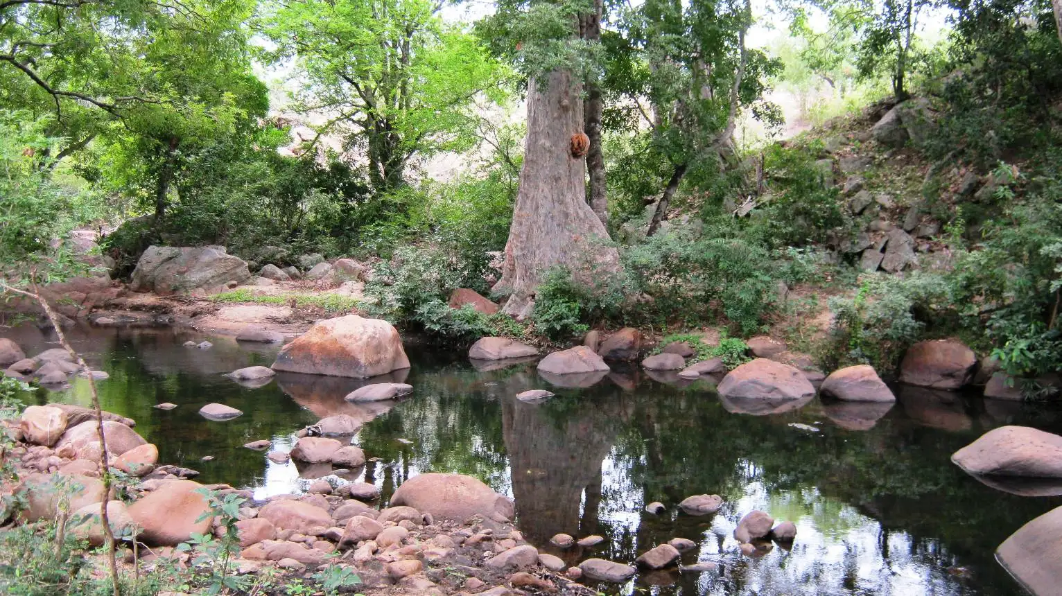 A rock-lined pool on the Chinnar river below a wooded slope, near Chinnar Checkpost