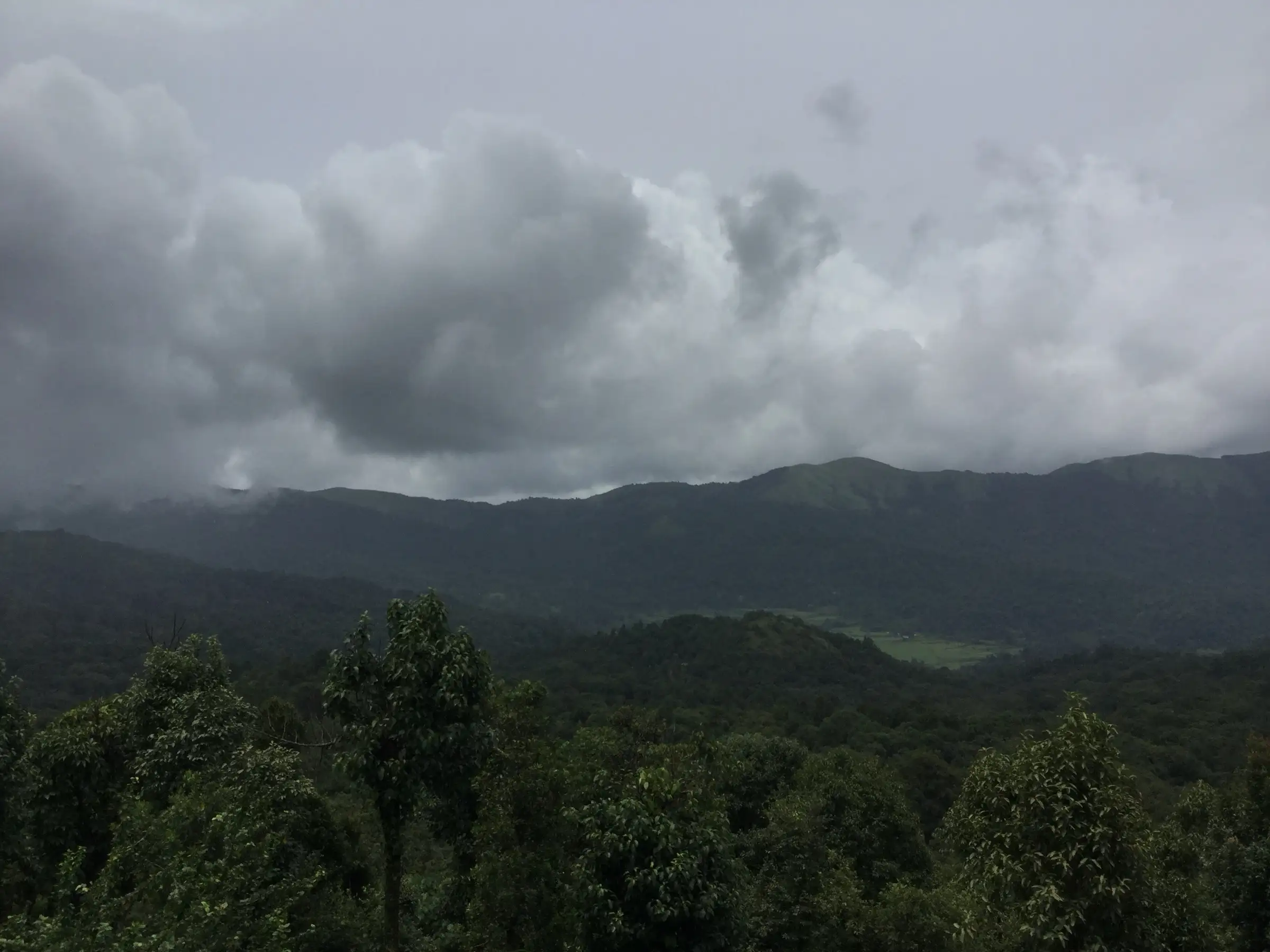 Forested ridges of the Talakaveri hills under monsoon clouds, the area where the Nishani Motte trek begins (not the trail itself)