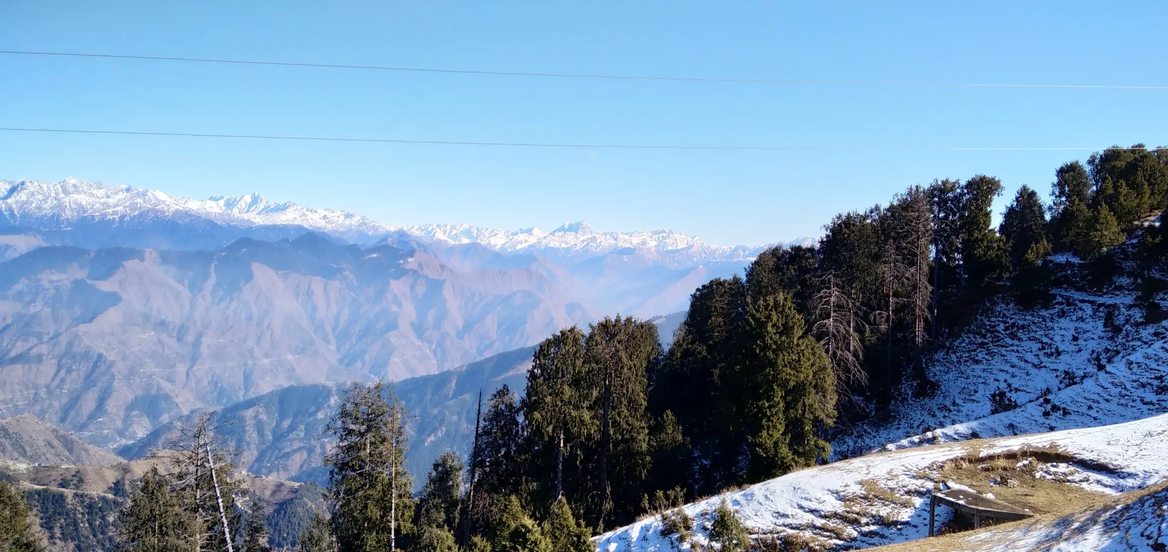 Snow-capped Himalayan range seen past deodar trees from the snowy slopes of Dainkund Peak