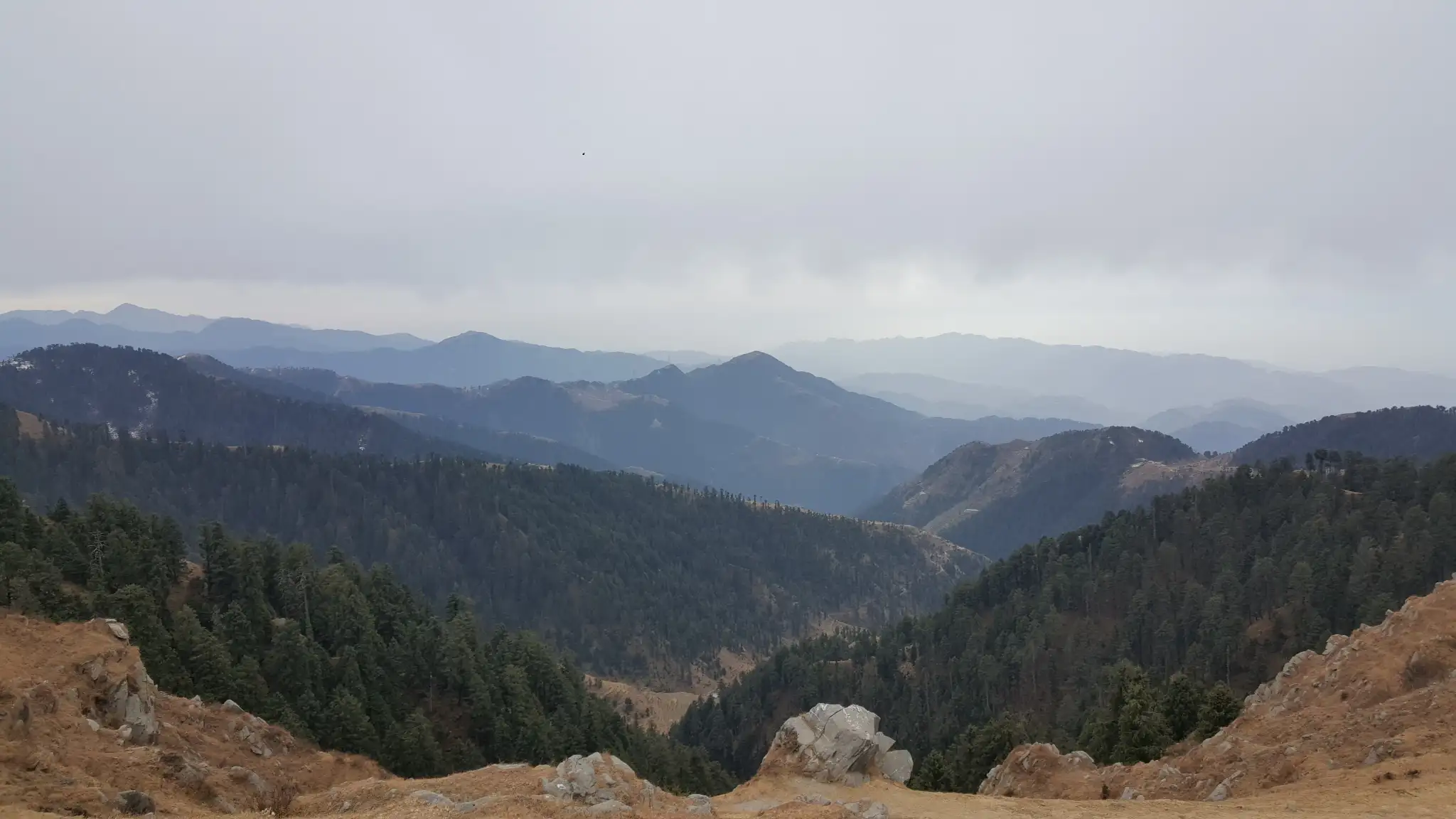 Forested ridges and valleys around Dalhousie seen from the grassy top of Dainkund on a cloudy day