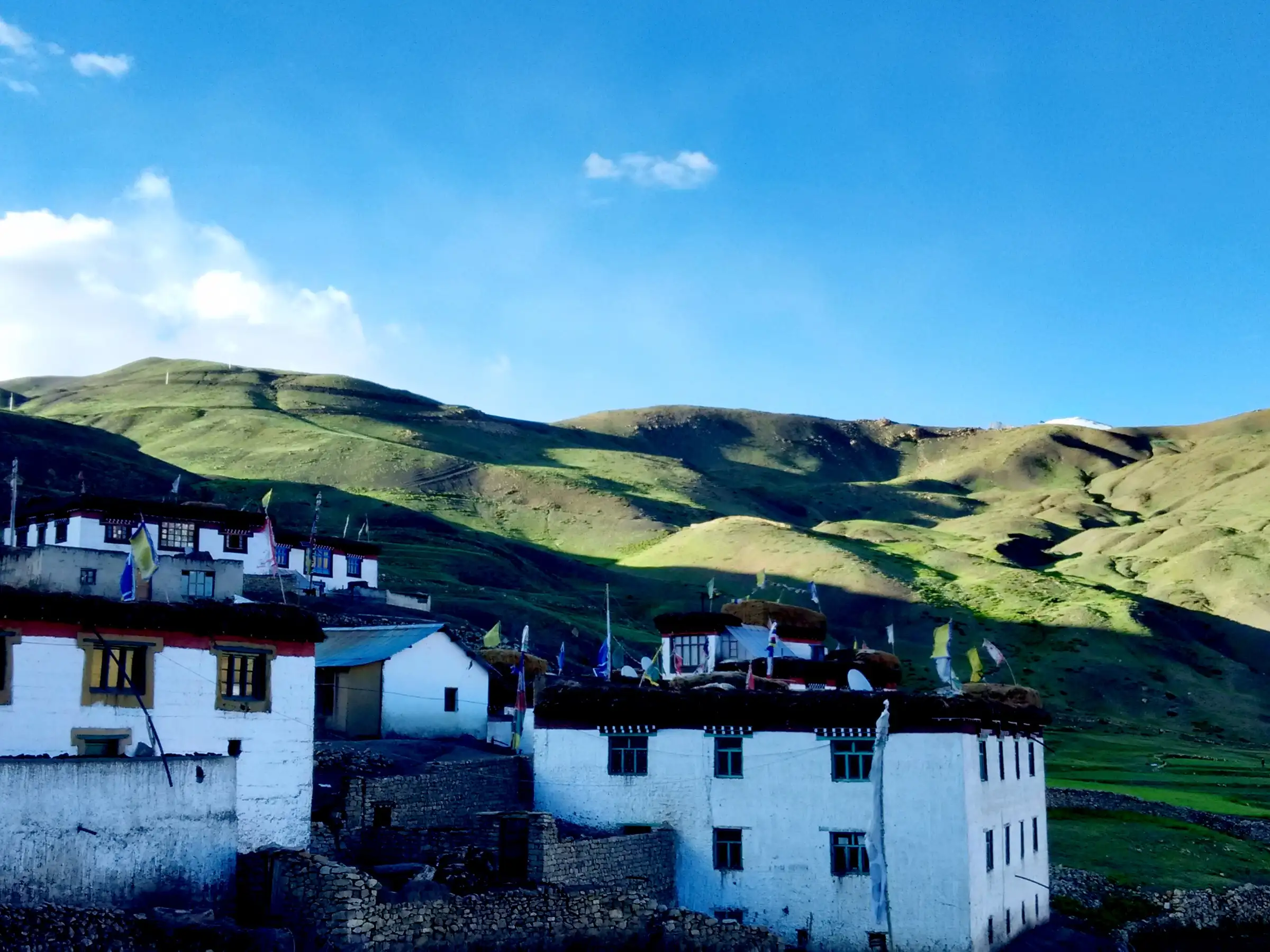 White houses with prayer flags in Demul village, the base for the Balang Ri hike, below green grassy slopes in Spiti