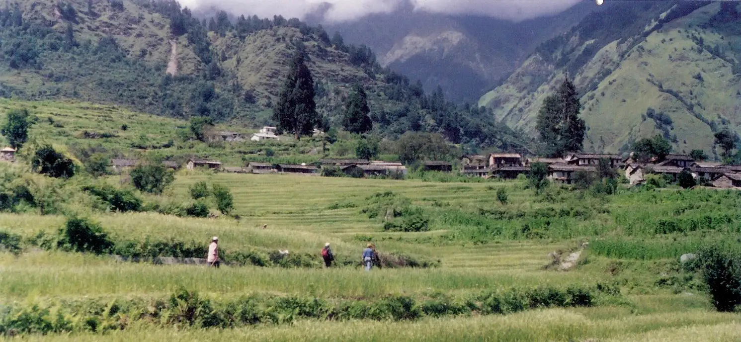 Green paddy fields and village houses of Devgram, the trailhead, with forested hills behind