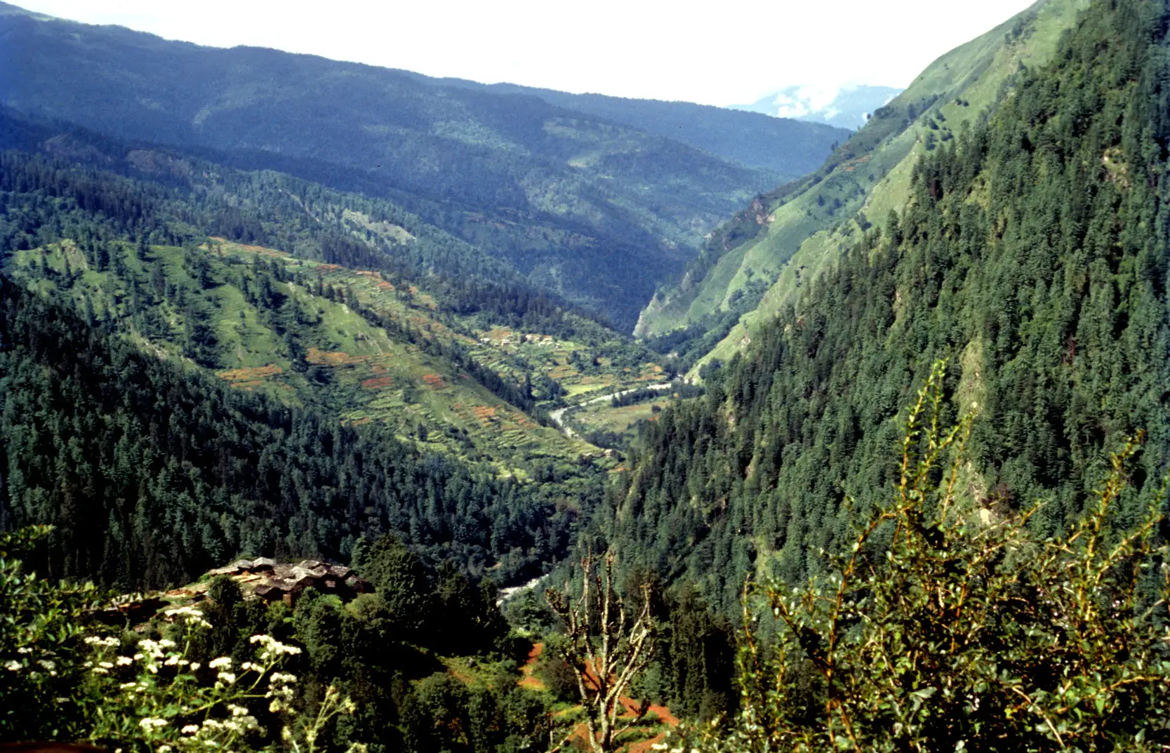 Forested Supin valley with terraced fields and a river below, seen from Datmir (Dhatmeer) village on the first day of the trek