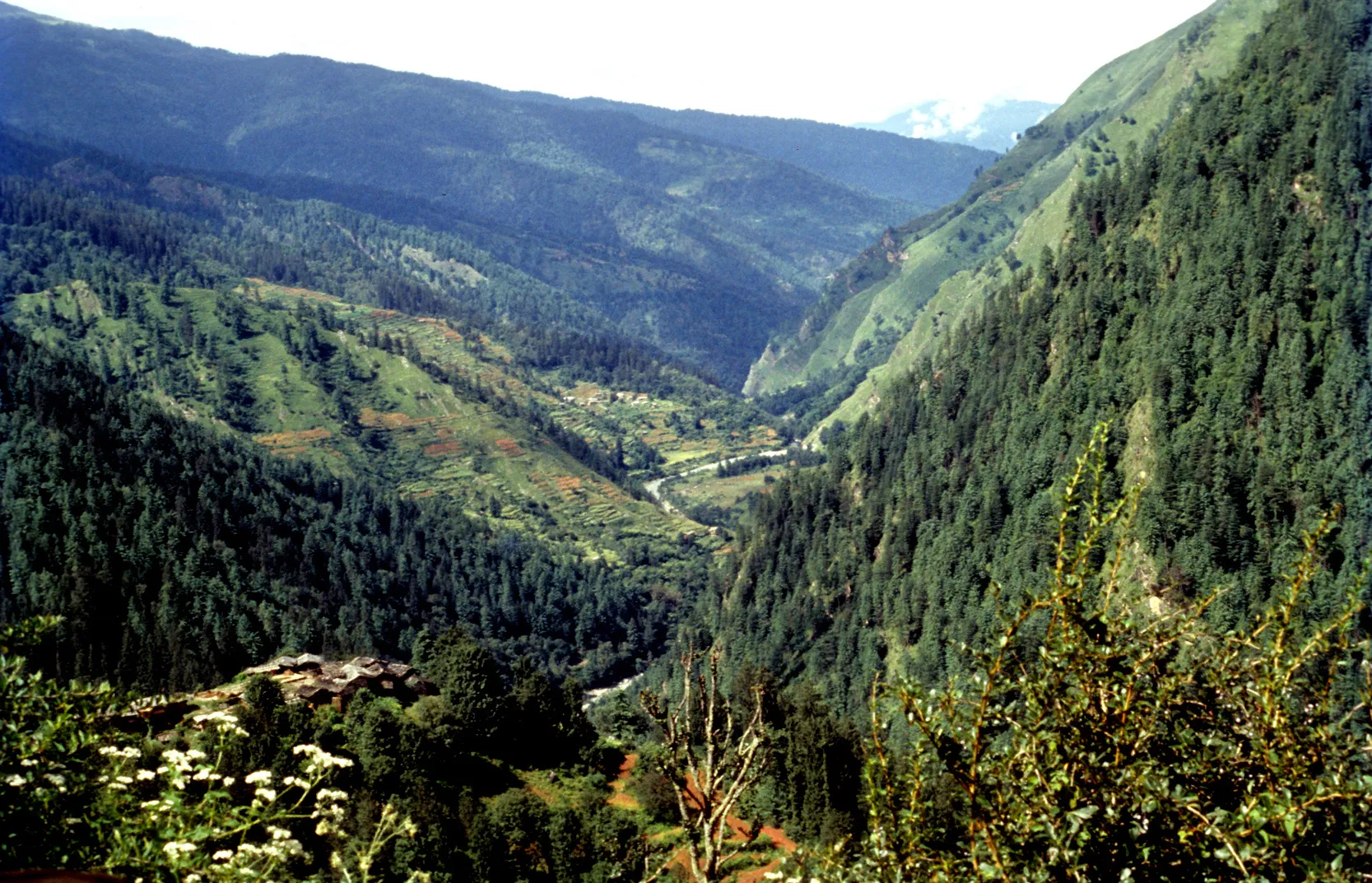 Forested Supin valley with terraced fields and a river below, seen from Datmir (Dhatmeer) village on the first day of the trek