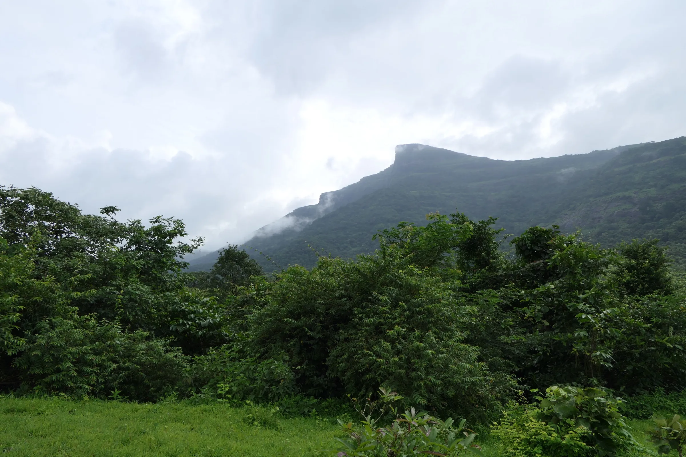 The hooded cliff of Duke's Nose rising above green monsoon forest under grey cloud, seen from the Khandala side