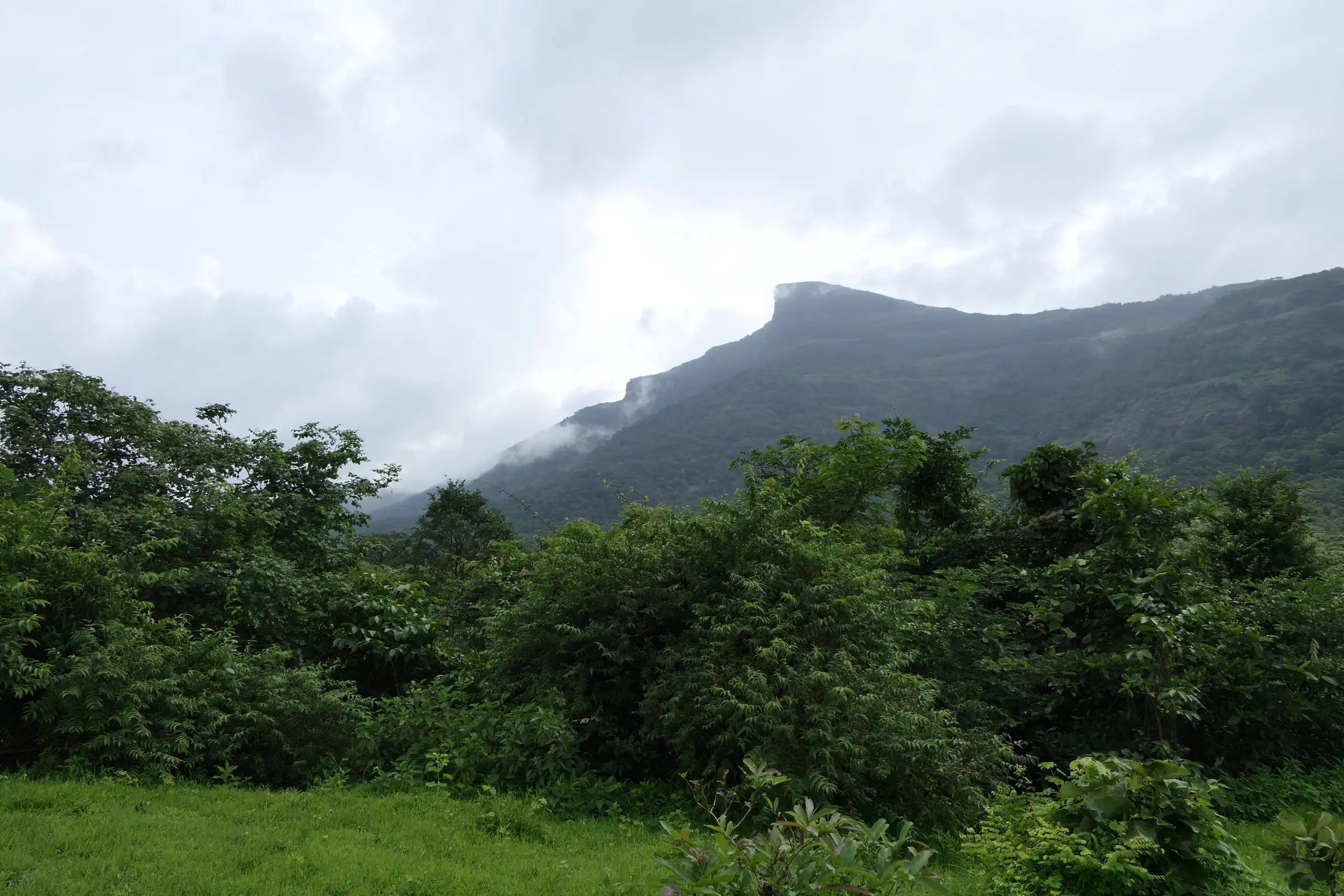 Duke's Nose cliff above forested Sahyadri slopes under monsoon cloud, seen from the valley below the Kurvande ghats