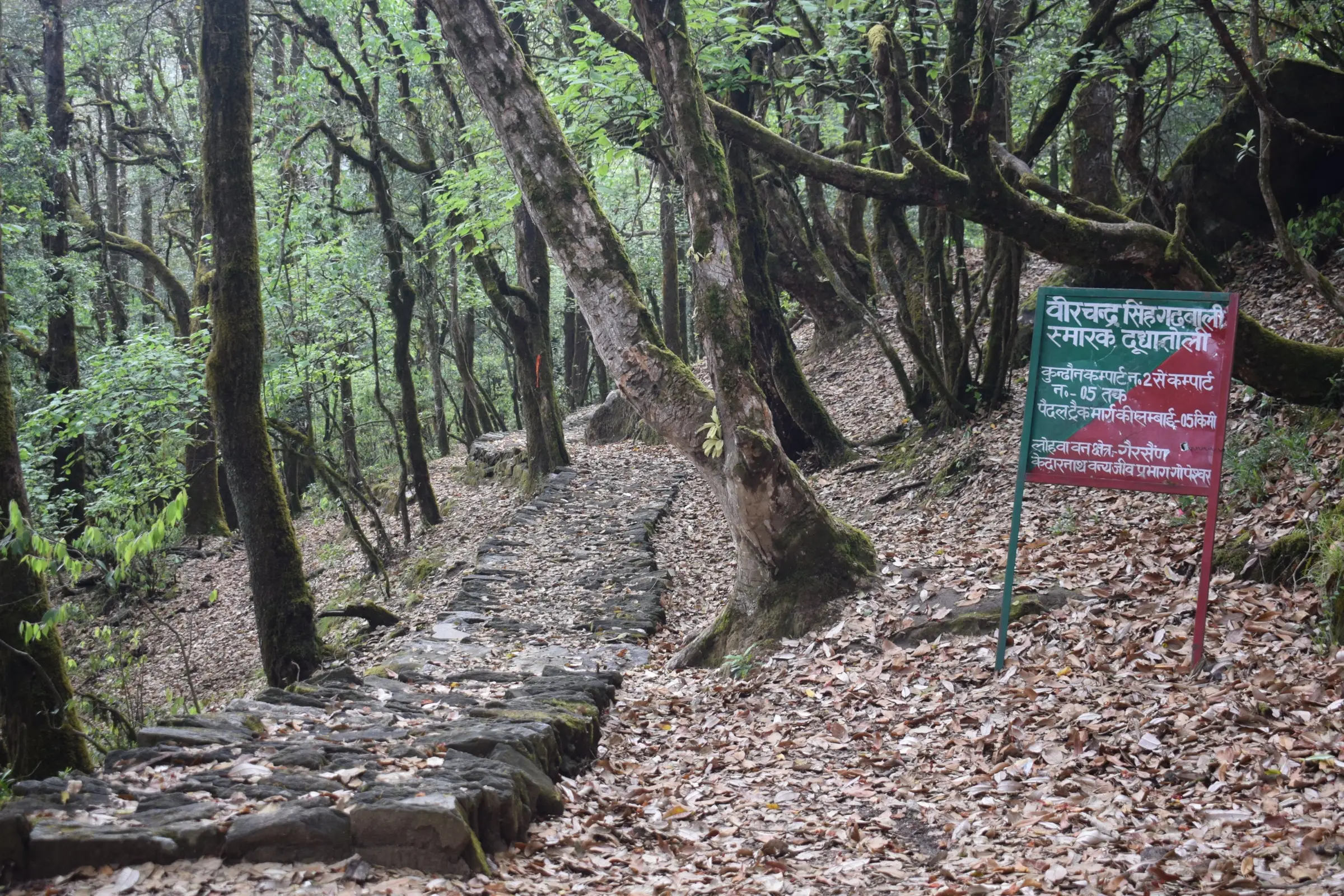 Stone-paved trail through an oak forest carpeted with dry leaves, beside a sign for the Veer Chandra Singh Garhwali memorial