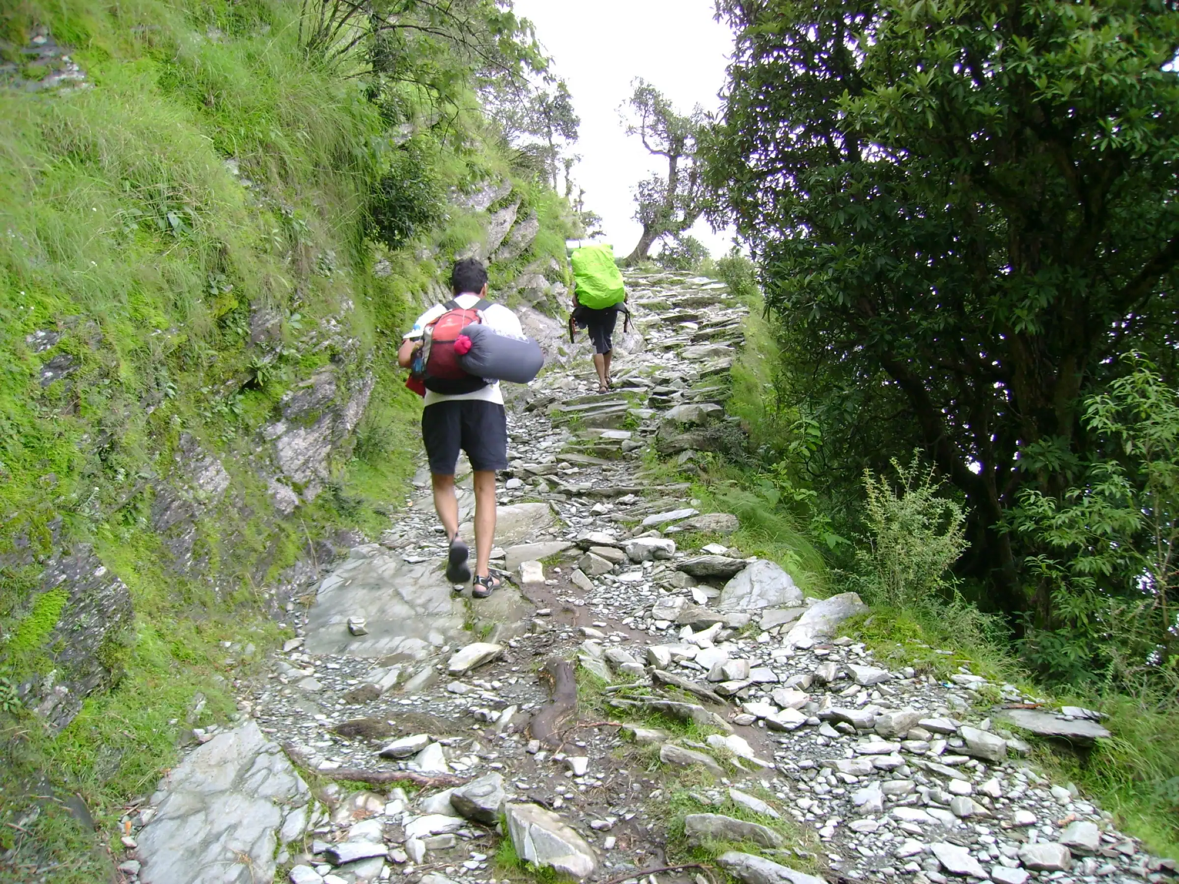 Trekkers climbing the stone-paved forest trail to Triund