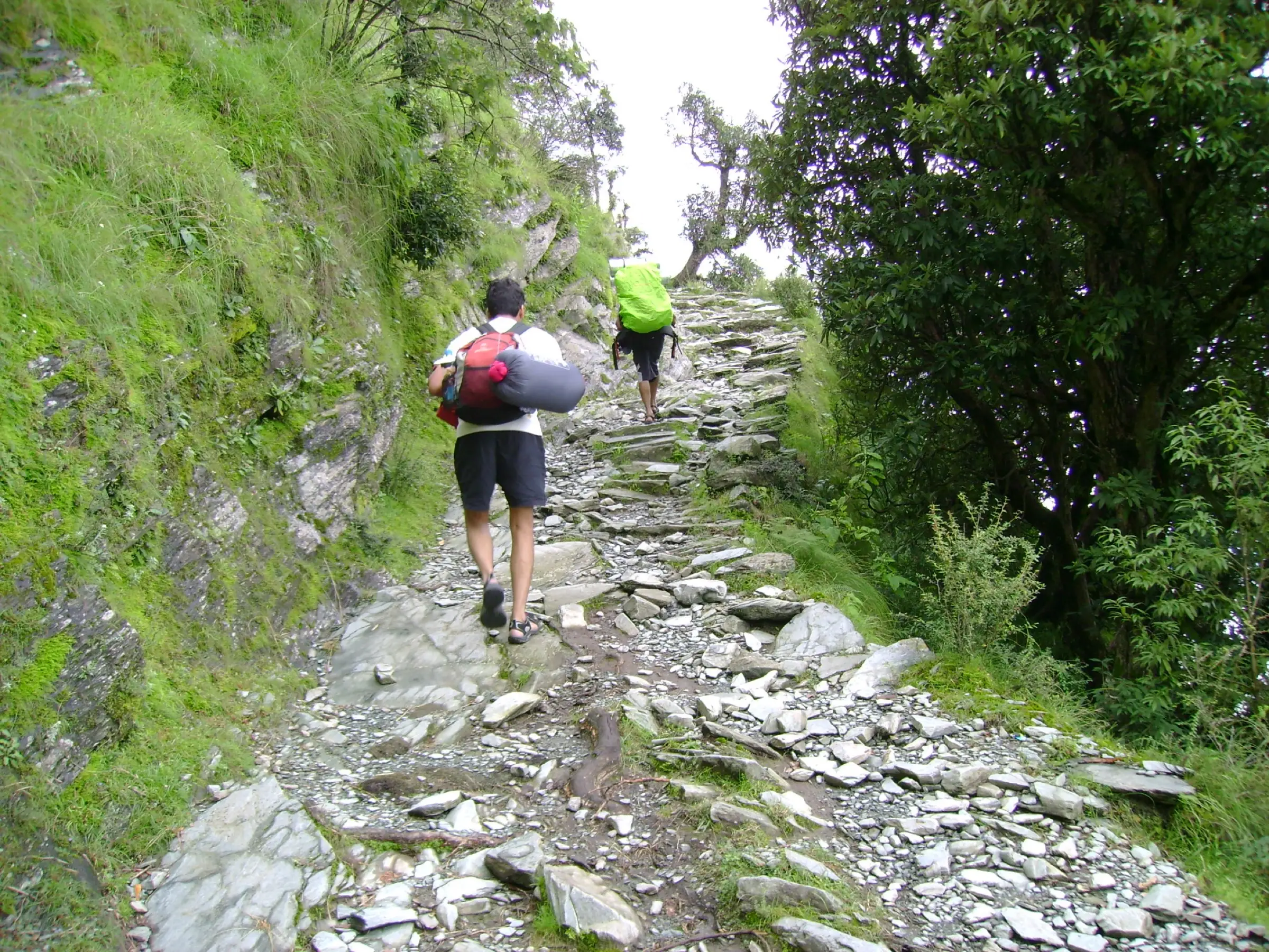 Trekkers climbing the stone-paved forest trail to Triund