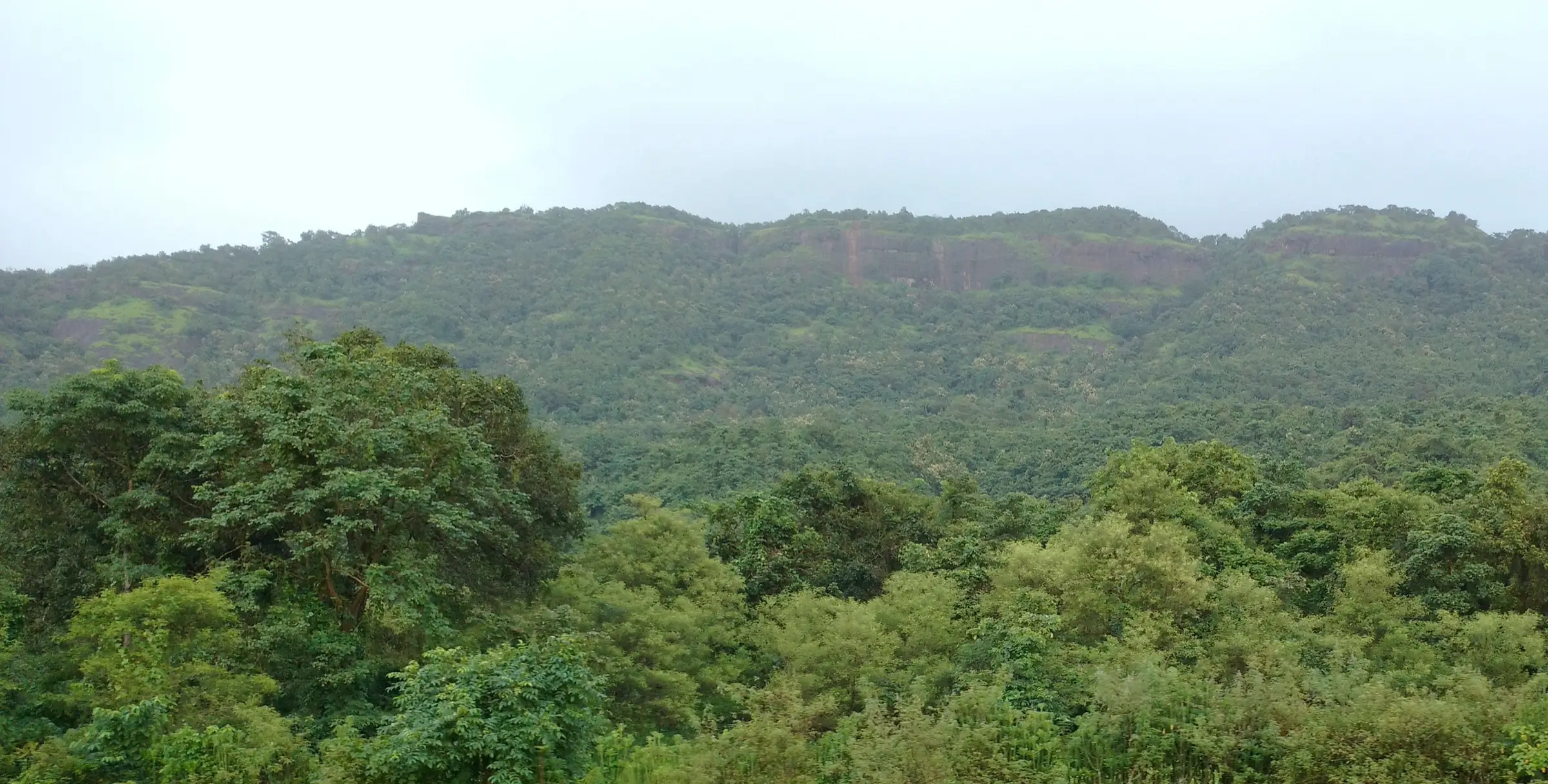 The long, forest-covered hill of Avchitgad seen from Nidi railway station under a monsoon sky