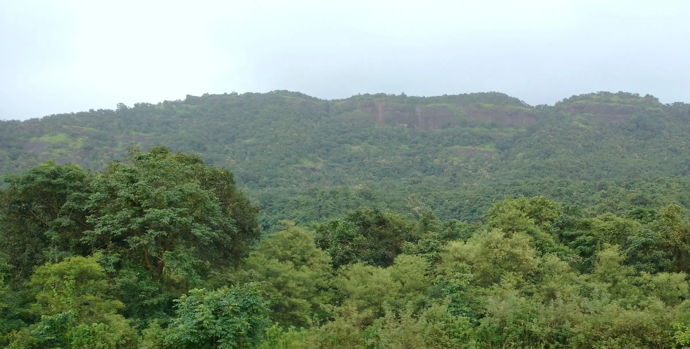 The long, forest-covered hill of Avchitgad seen from Nidi railway station under a monsoon sky