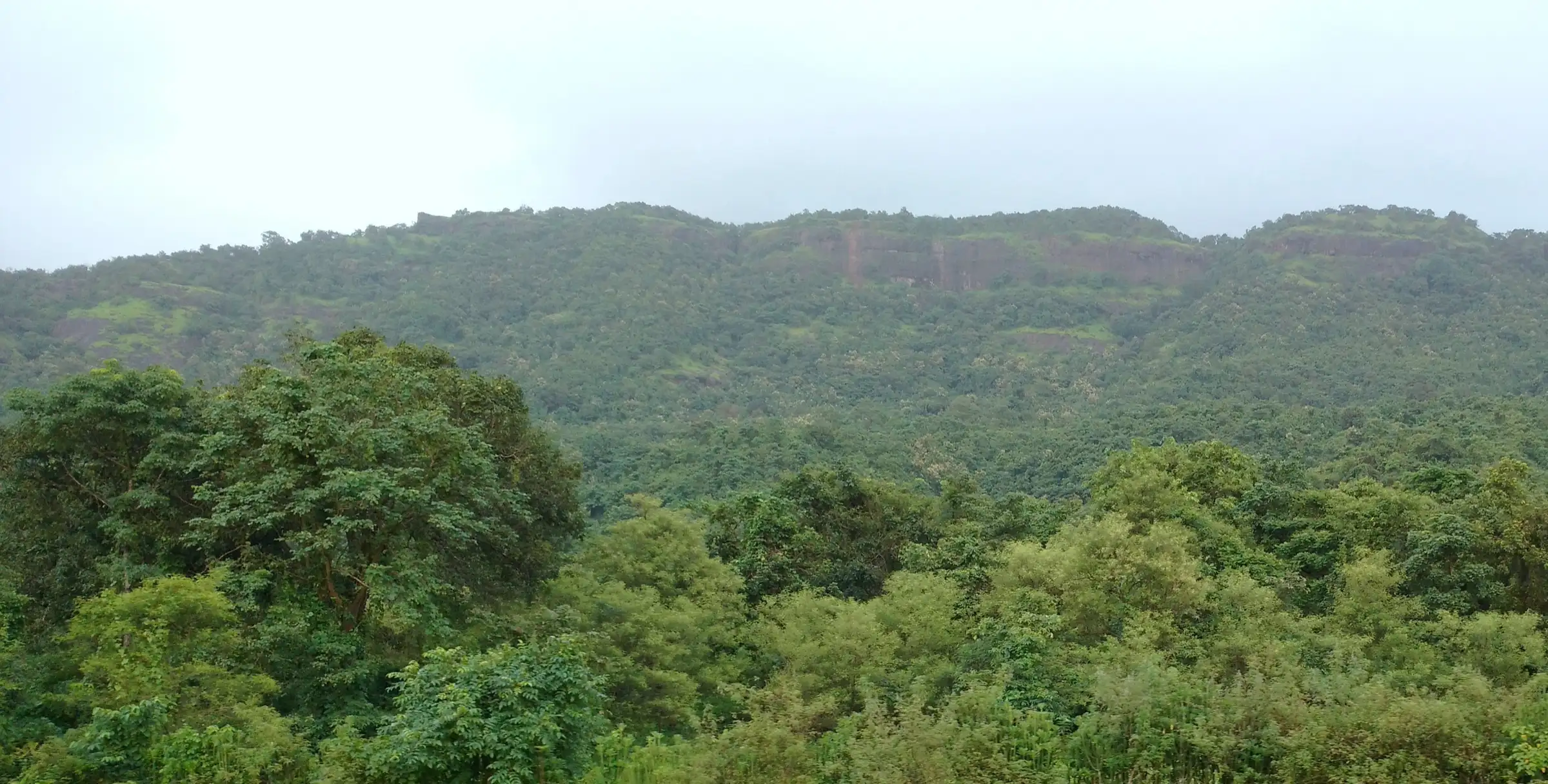 The long, forest-covered hill of Avchitgad seen from Nidi railway station under a monsoon sky