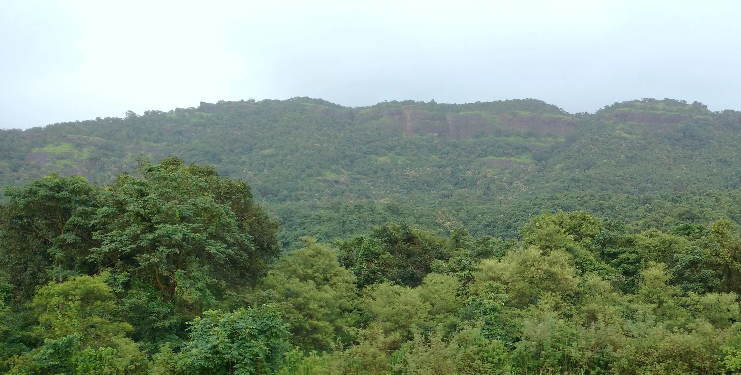 The long, forest-covered hill of Avchitgad seen from Nidi railway station under a monsoon sky