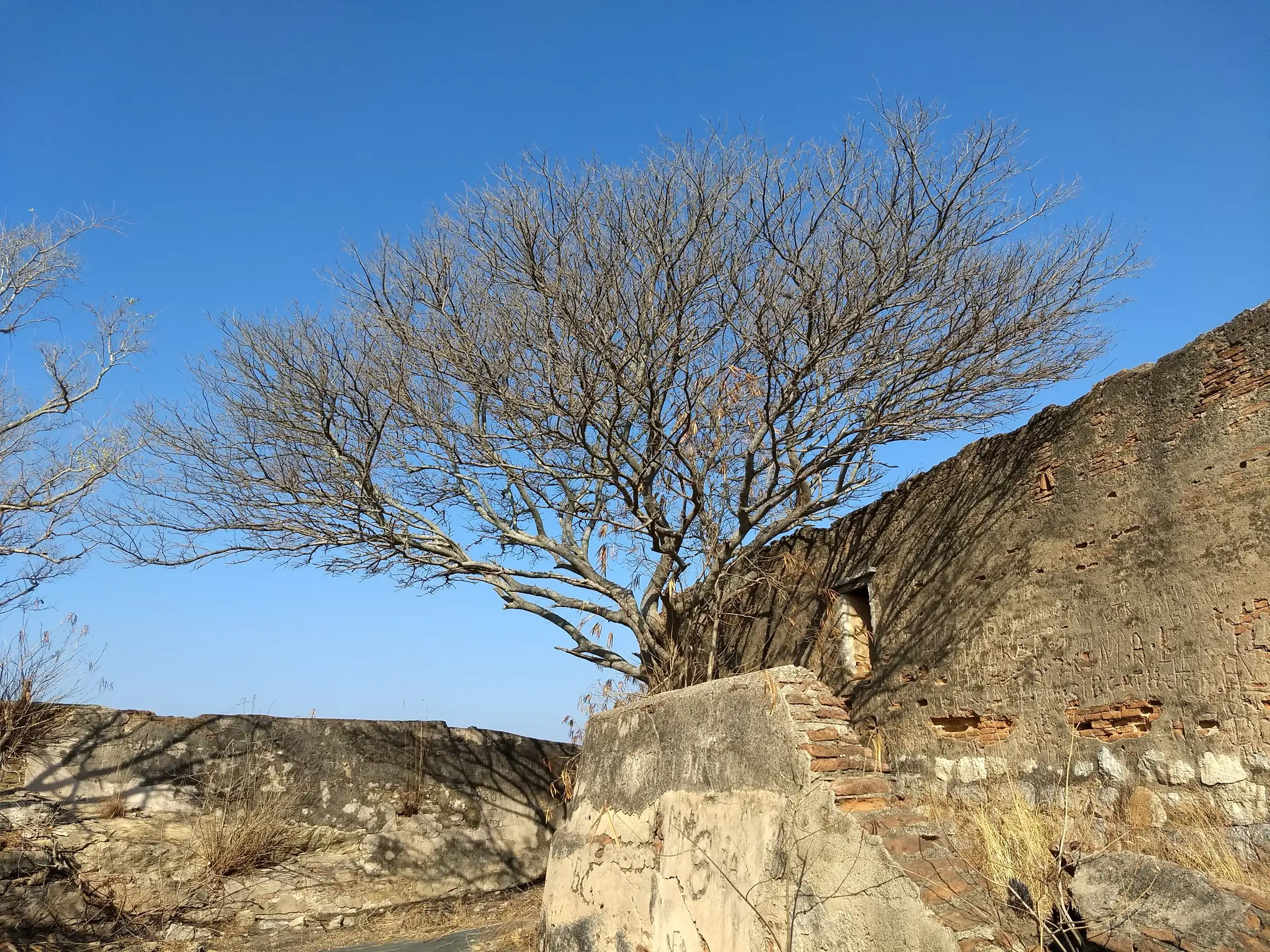 Ruined brick and stone walls of the fort on top of Huliyurdurga hill, with a leafless tree against a blue sky