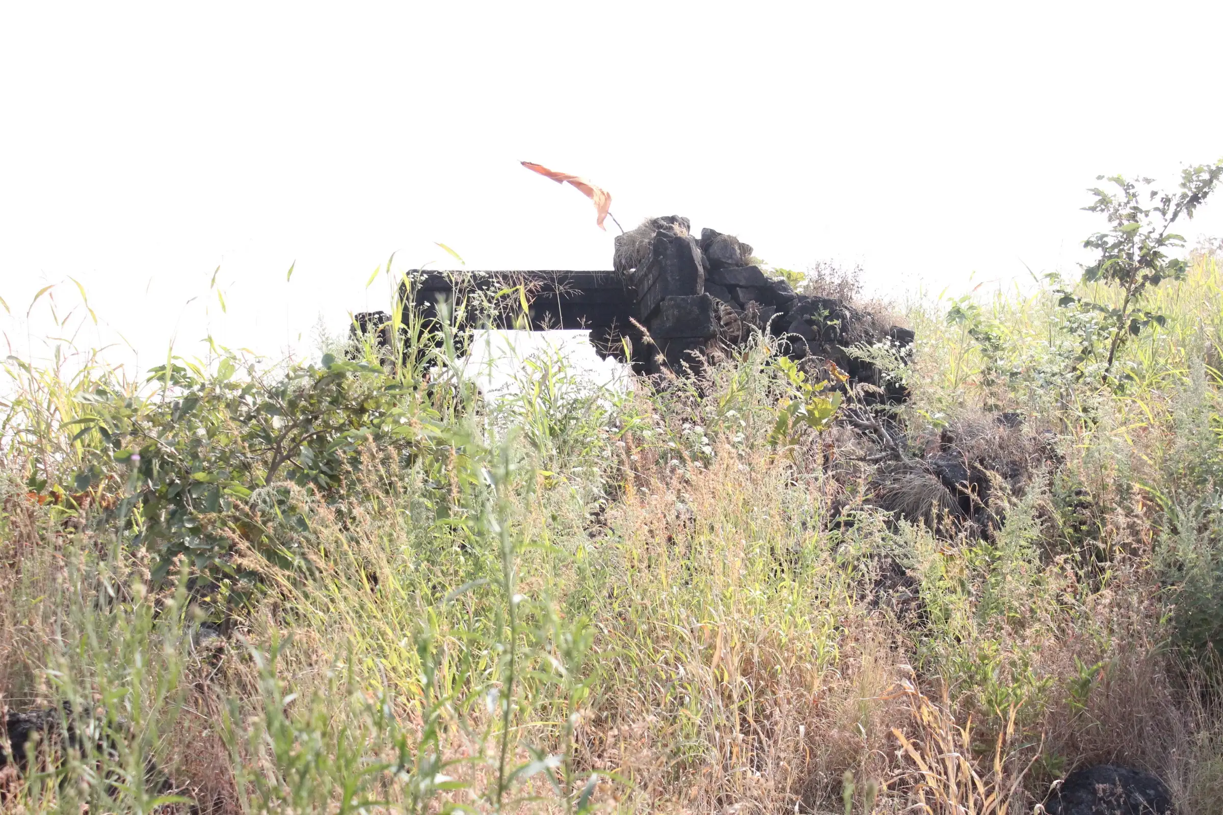 Stone ruins of a structure on Chavand Fort with a saffron flag, half hidden in tall grass on the summit