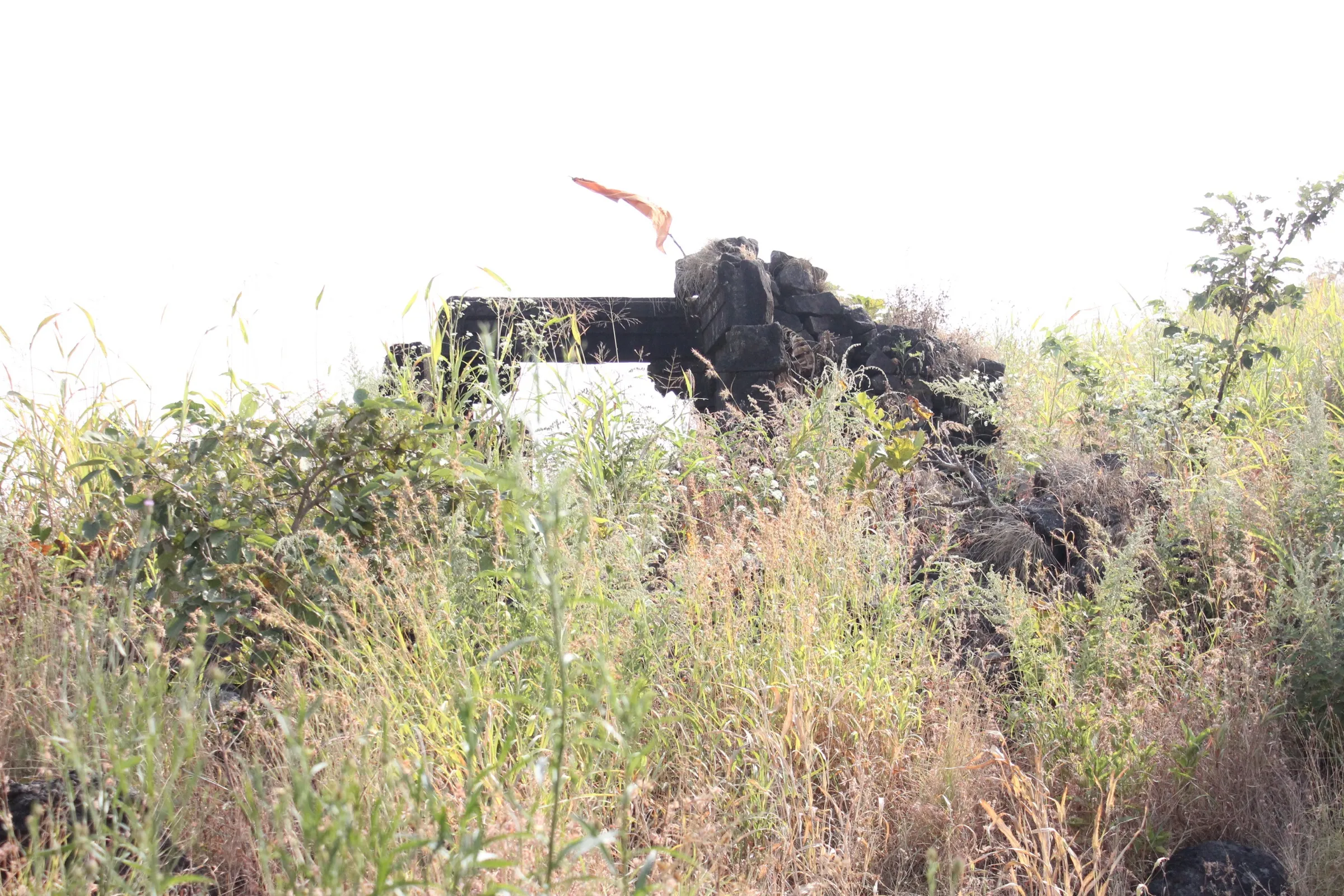 Stone ruins of a structure on Chavand Fort with a saffron flag, half hidden in tall grass on the summit