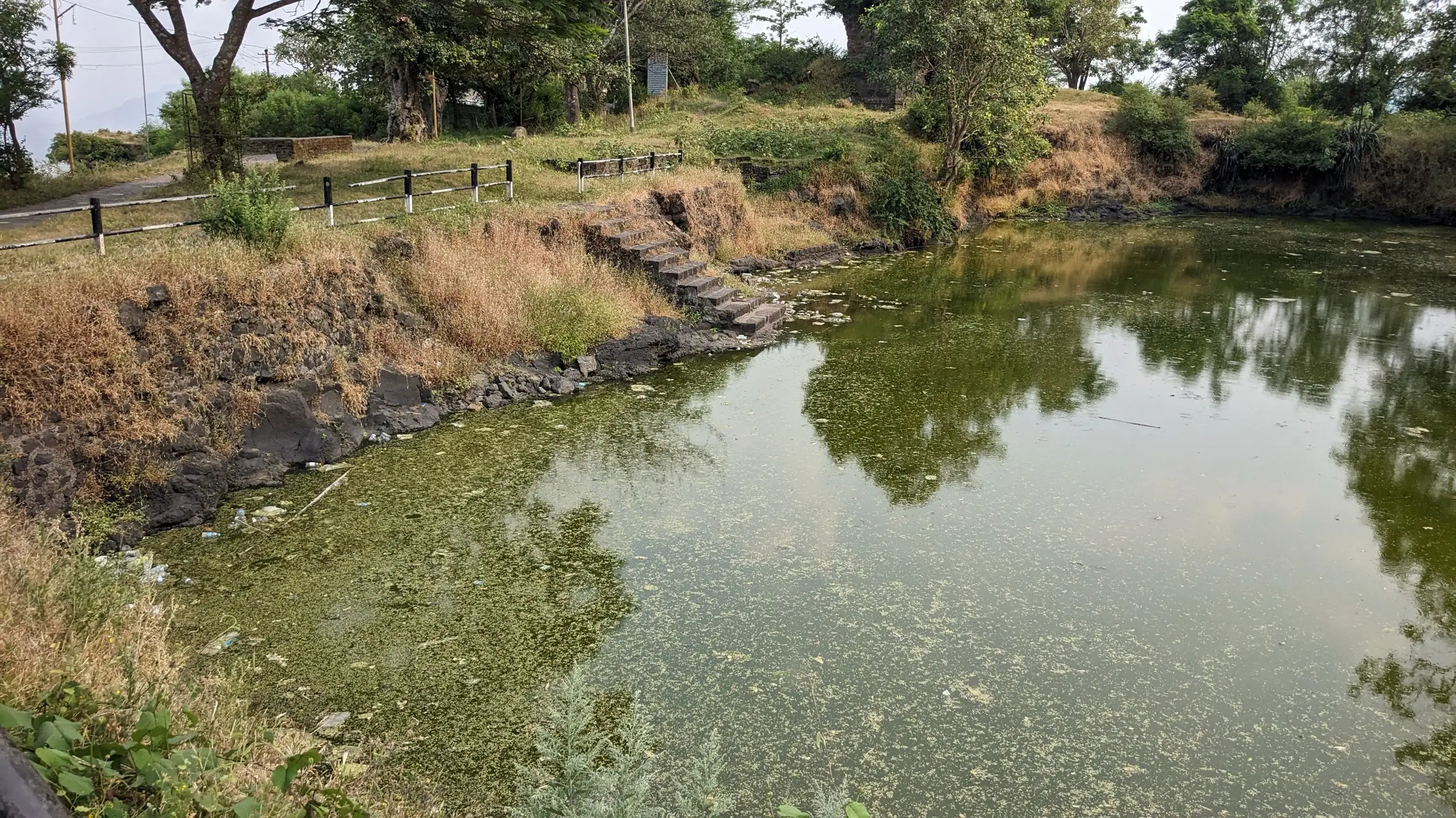 Green water tank with stone steps on the Sajjangad plateau, ringed by trees and dry grass