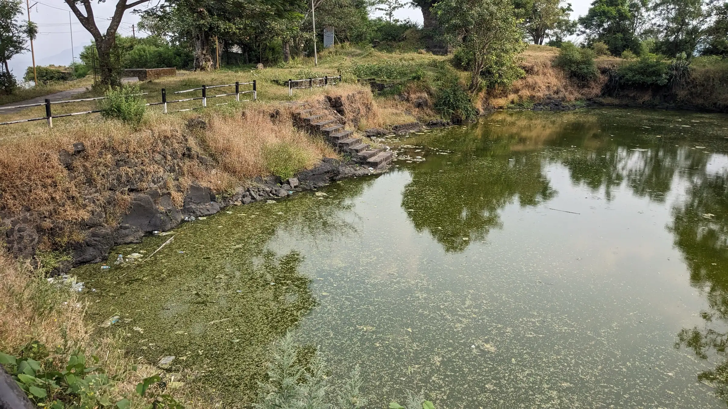 Green water tank with stone steps on the Sajjangad plateau, ringed by trees and dry grass