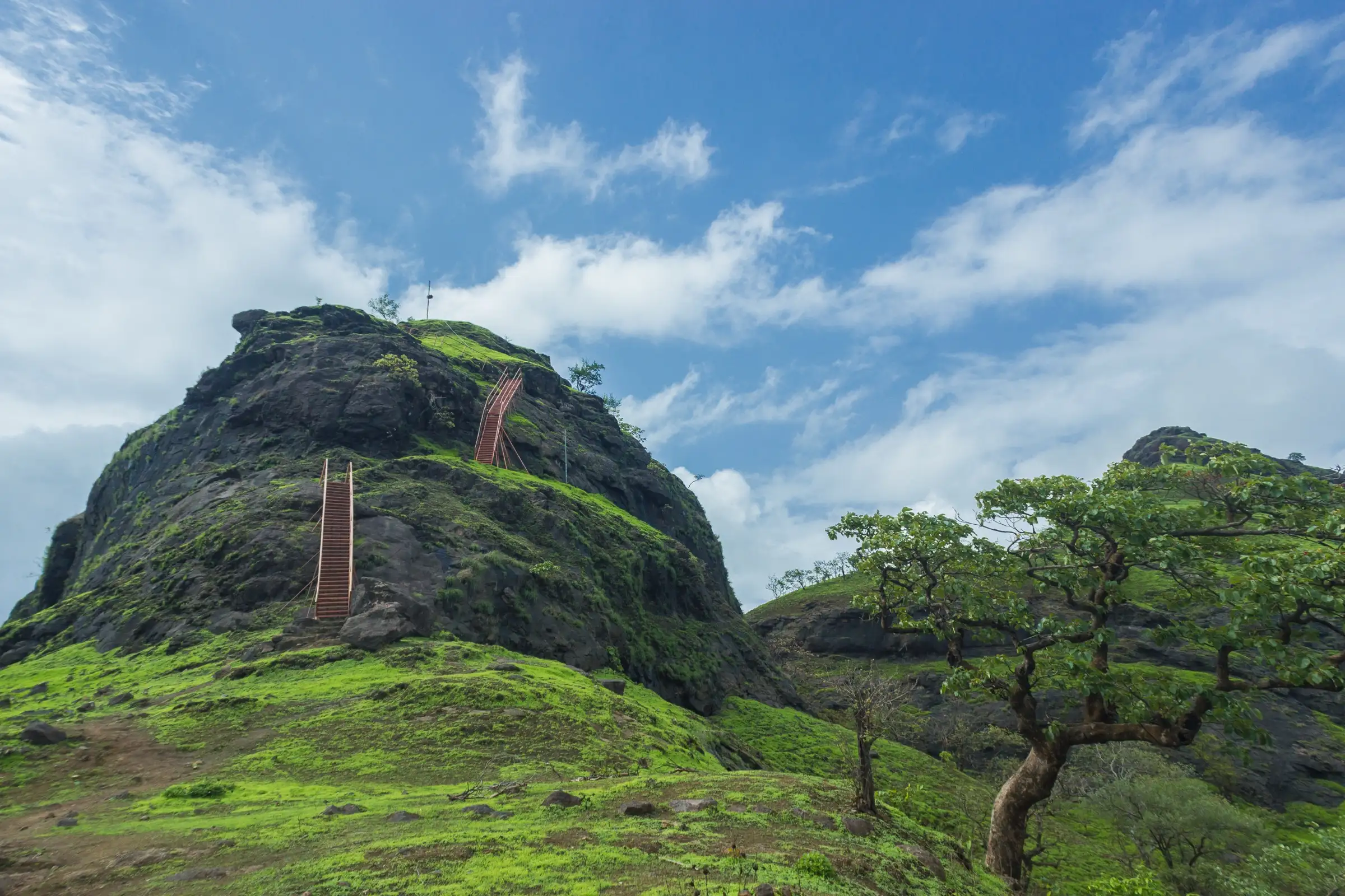 Green monsoon slopes below the dark rock of Sondai Fort with two orange iron ladders leading to the summit