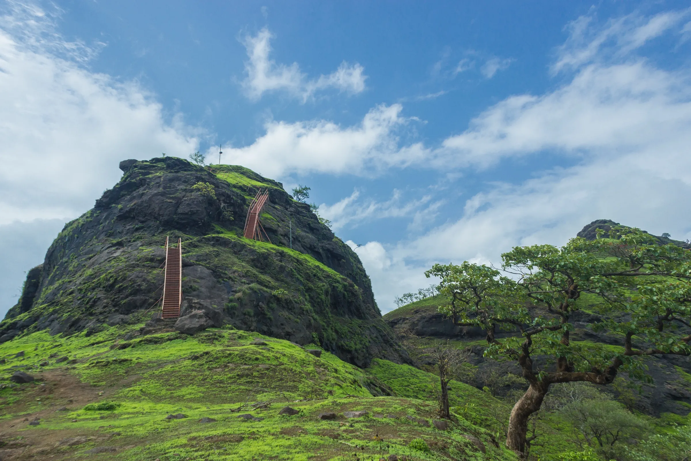 Green monsoon slopes below the dark rock of Sondai Fort with two orange iron ladders leading to the summit